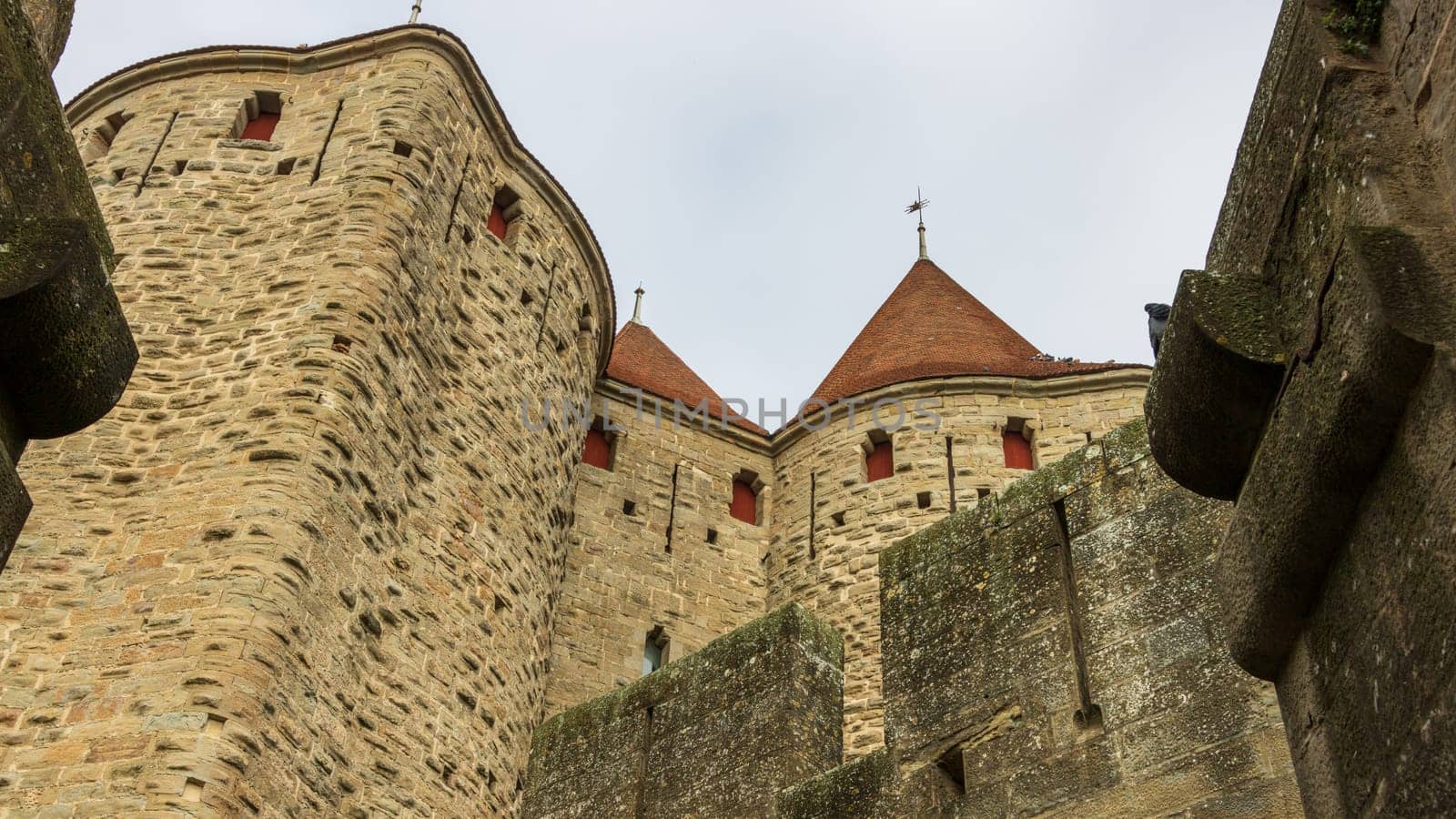 Castle of Carcassonne in France by vladispas