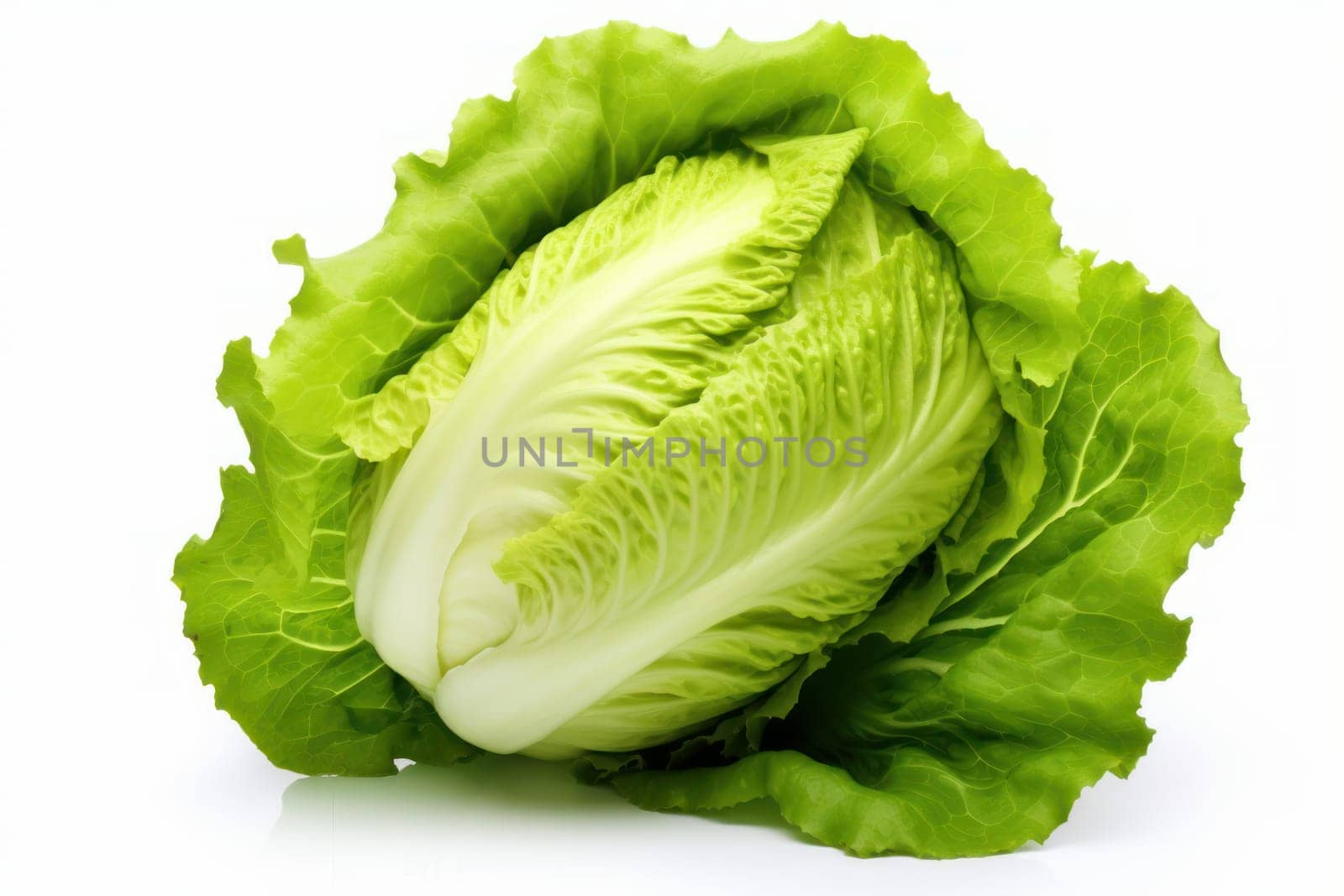 Leafy Lettuce leaves cabbage. Organic salad summer. Generate Ai