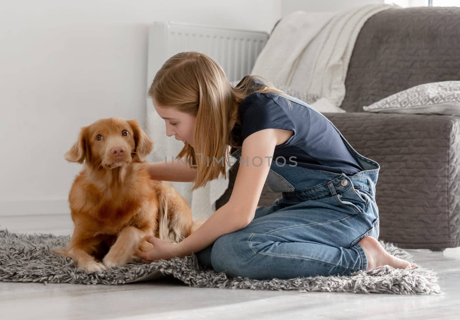 11-Year-Old Girl Plays With Nova Scotia Retriever Toller At Home On The Floor