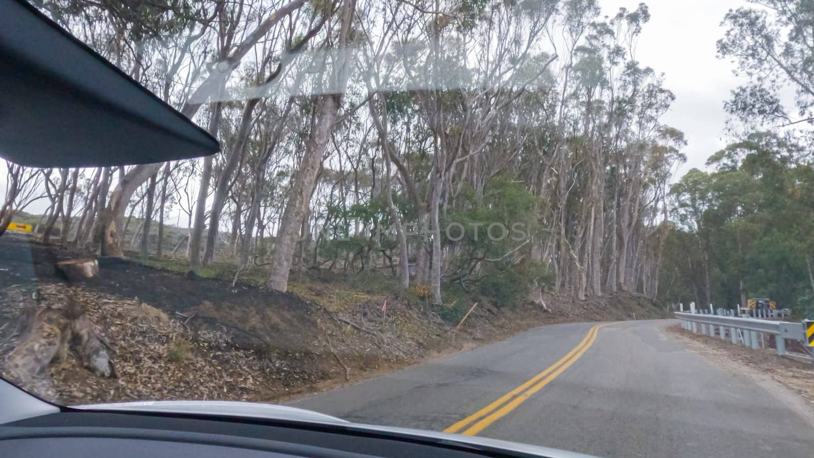 In this serene winter scene, a vehicle carefully makes its way along Los Osos Valley Road and Pecho Valley Road within Montana de Oro State Park.