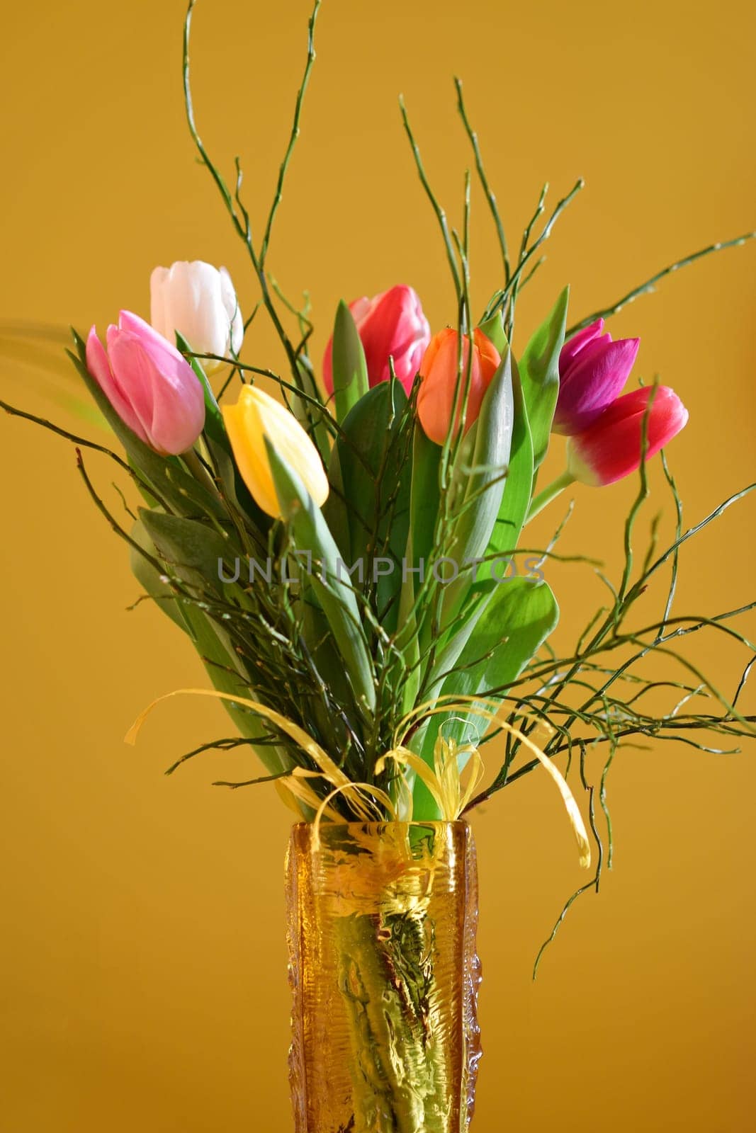 Spring background with flowers. Beautiful colorful tulip on a sunny day. Nature photography in spring time. by Montypeter