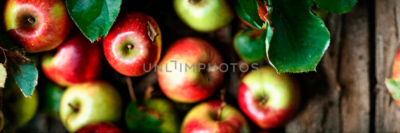 apple harvest in the garden. Selective focus. nature.
