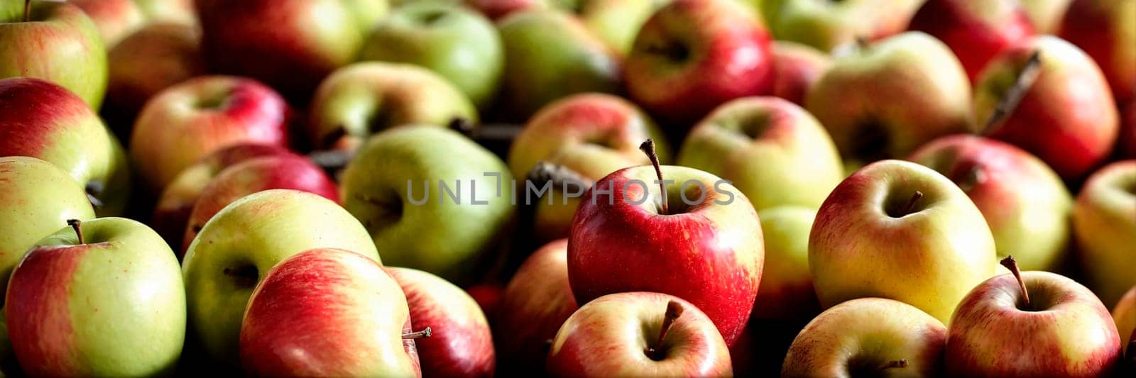 apple harvest in the garden. Selective focus. nature.