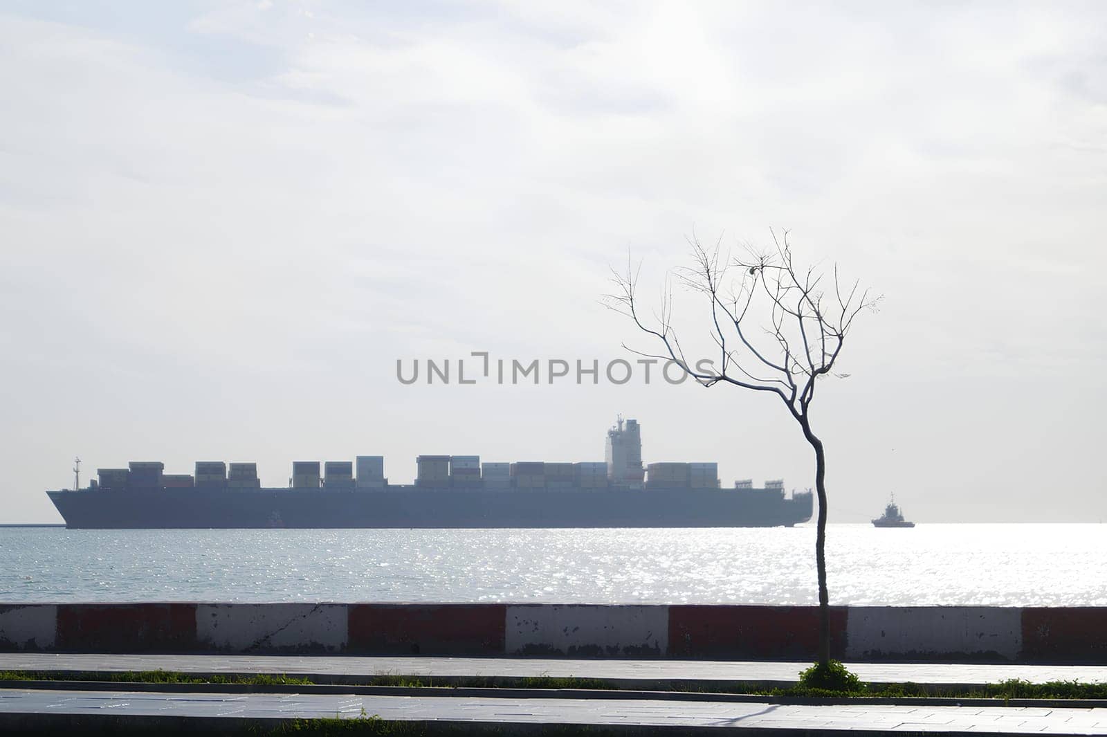 A large ship is sailing in the distance