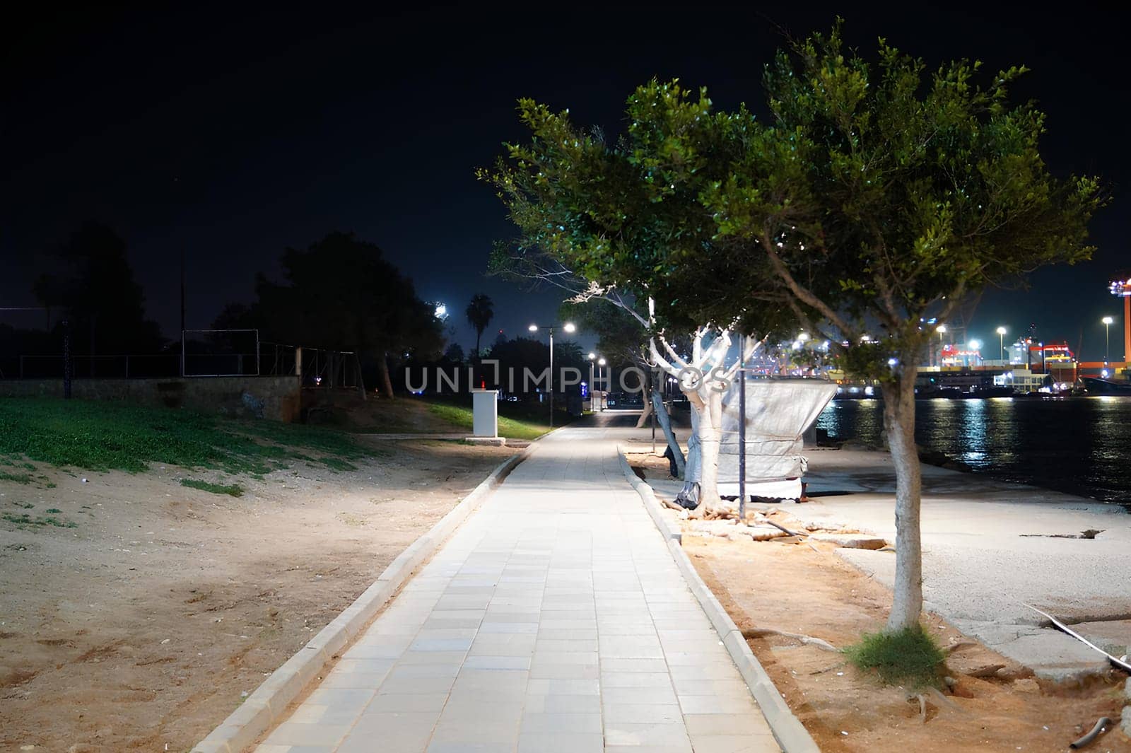 A park at night with a path and a tree