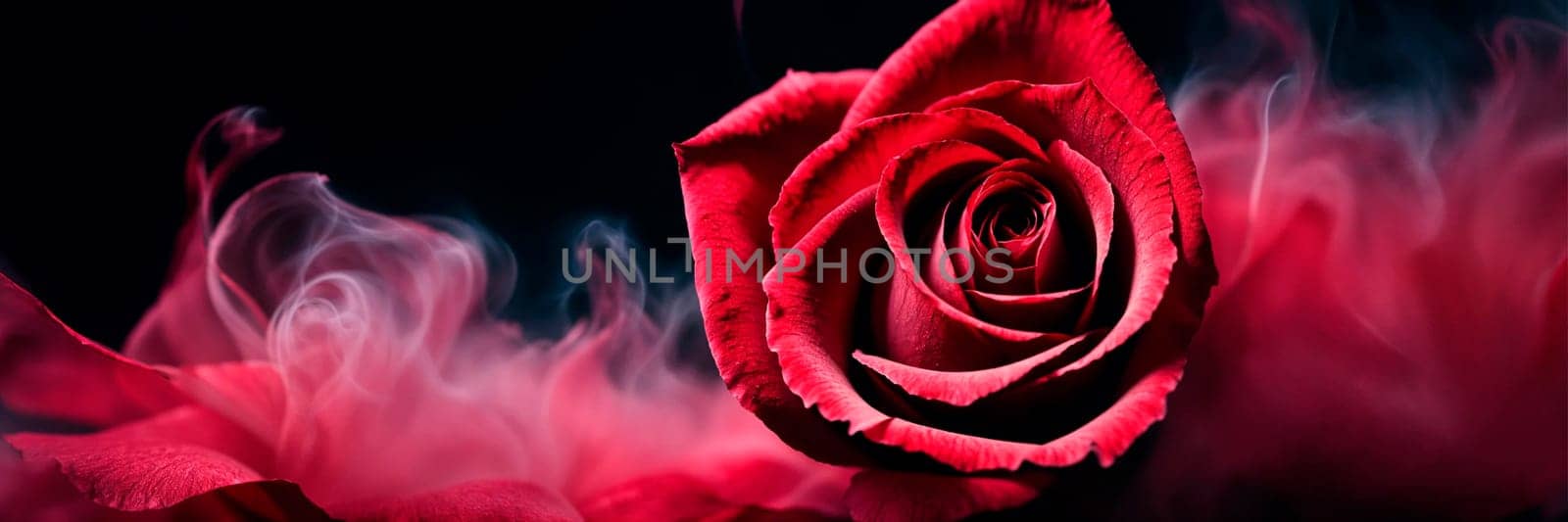 rose in smoke on a black background. Selective focus. holiday.