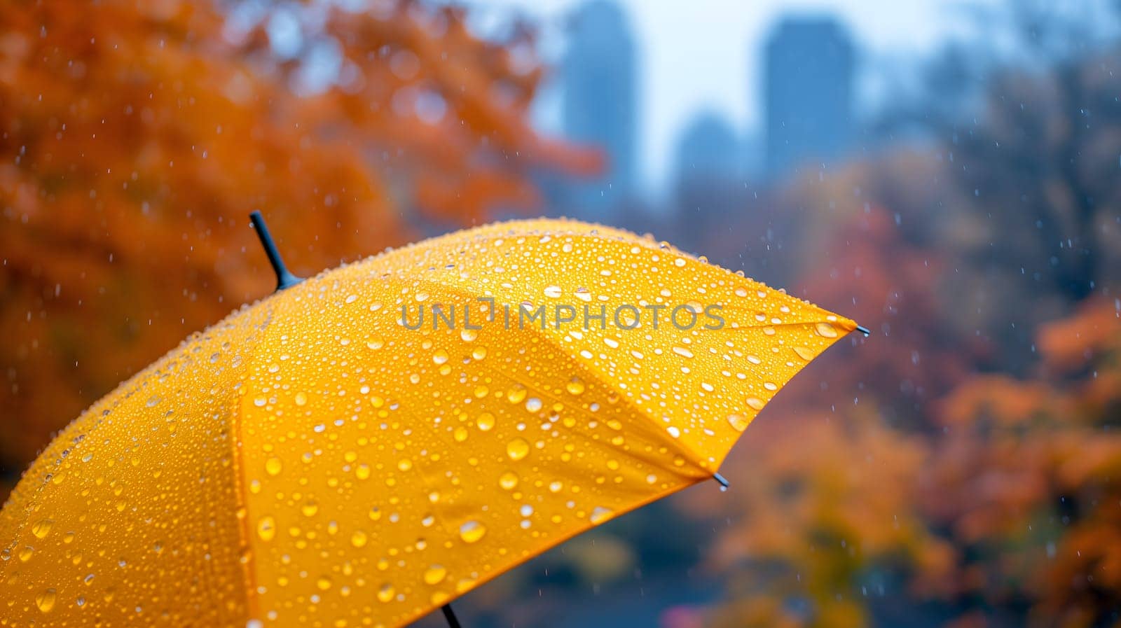 Close up, yellow umbrella under rainfall against a background of autumn leaves. Concept of rainy weather. by z1b