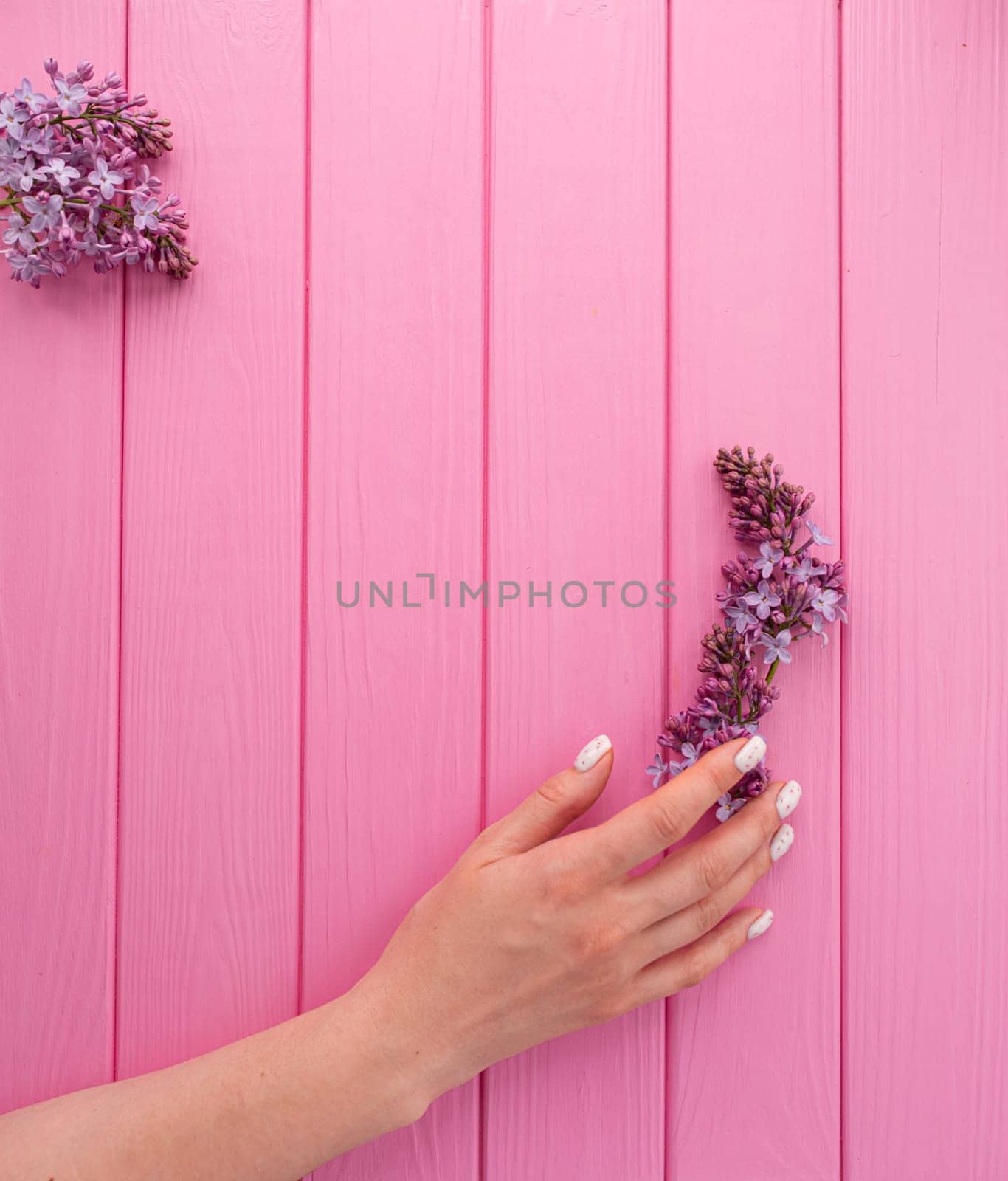 Summer abstract background mockup template free copy space for text pattern sample top view above pink wooden board. blank empty area for inscription. woman hand manicure hold blossom flowers lilac
