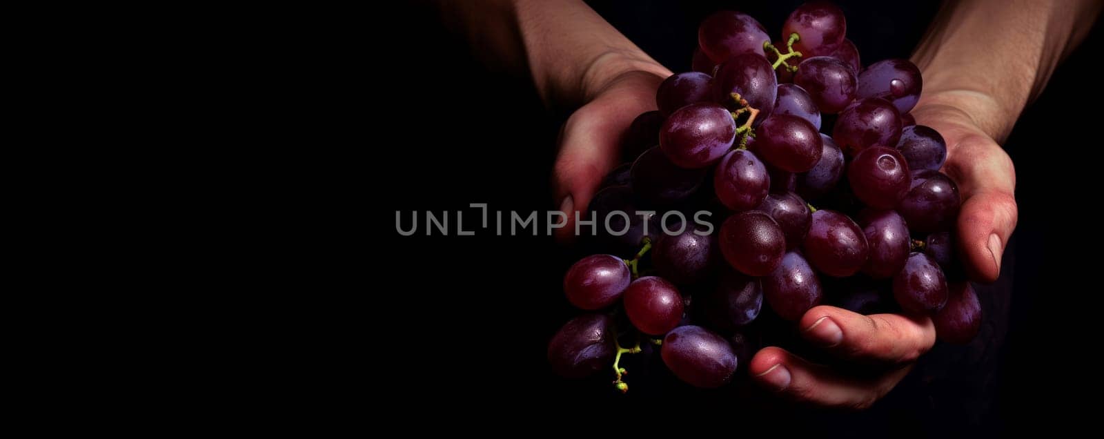 Fresh Male hand holding grape fruit. Winery farmer picking ripe grape crop. Generate ai