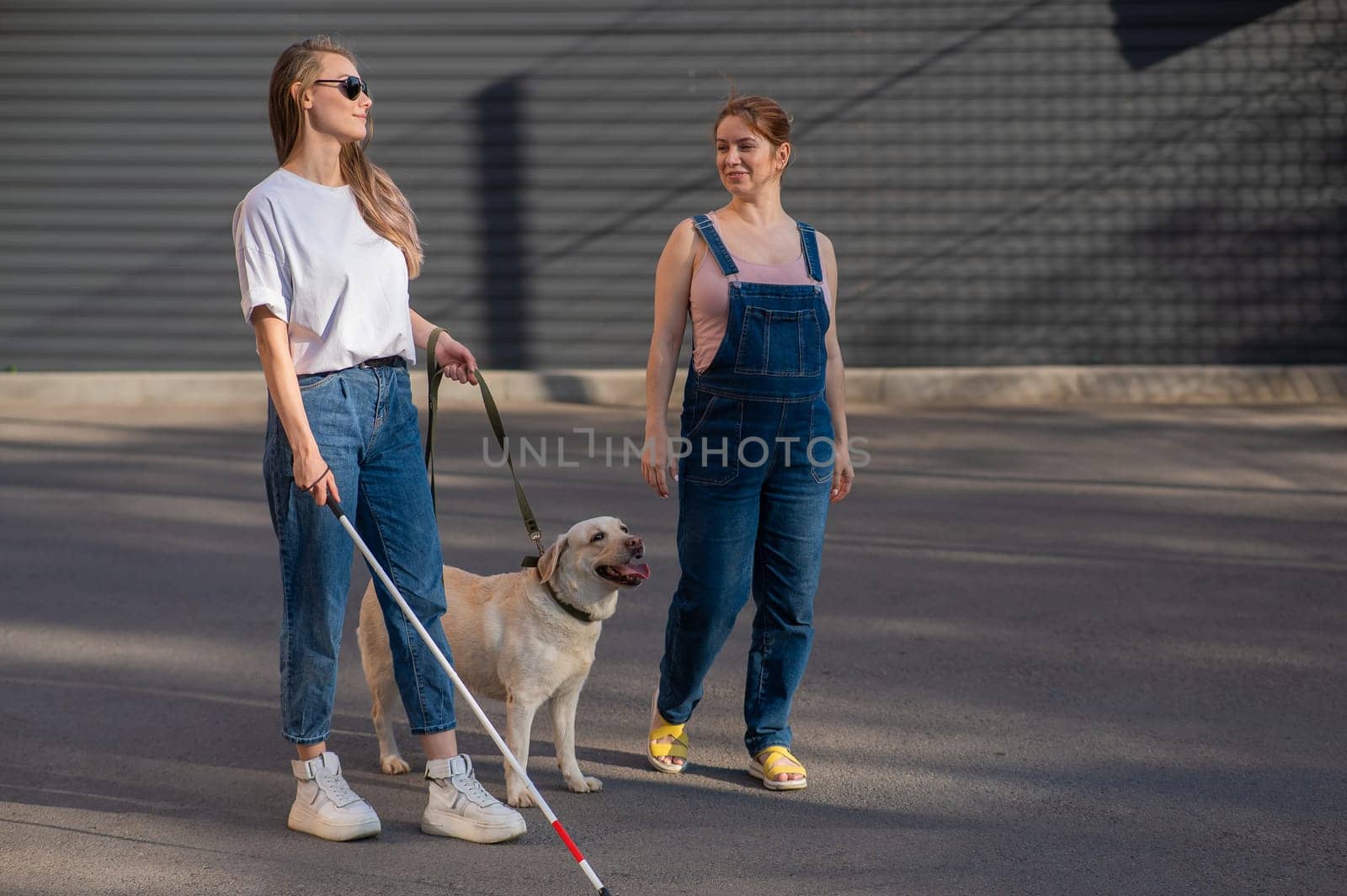 Blind caucasian woman walking with guide dog and pregnant girlfriend