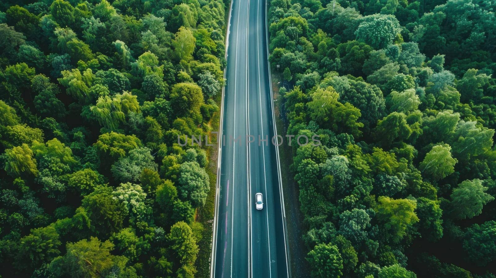 high way to forest. Generative AI by golfmerrymaker