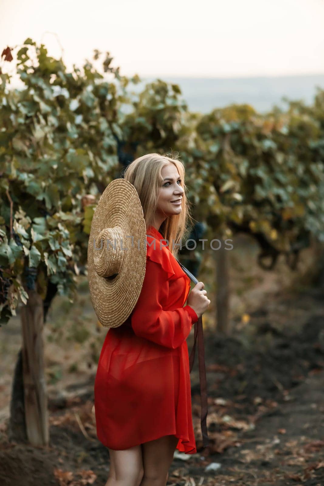 portrait of a happy woman in the summer vineyards at sunset. woman in a hat and smiling