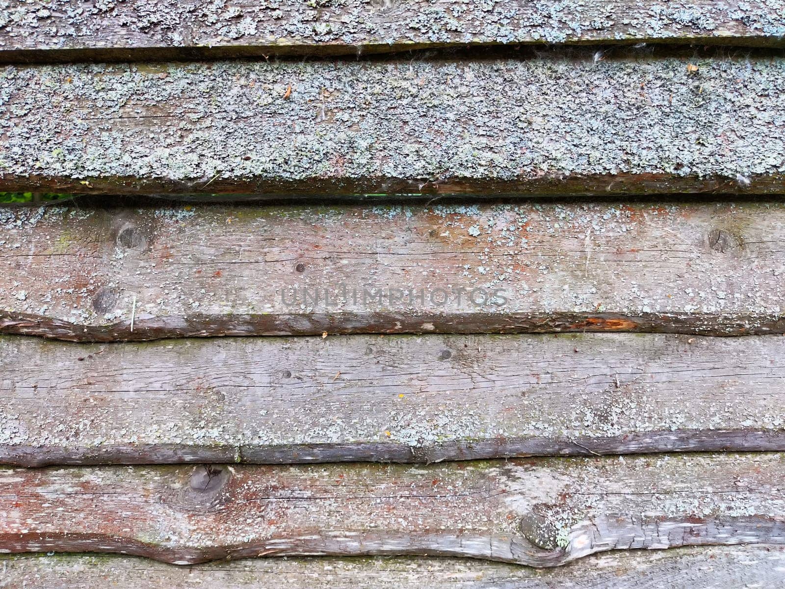 Abstract background with old wooden boards with texture and knots. Pattern, place for text, copy space