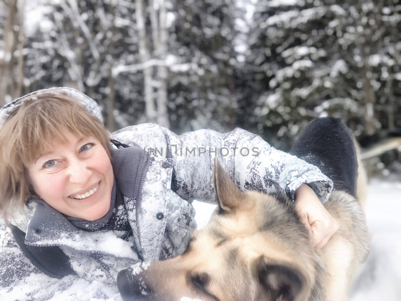 Portrait of Middle aged woman, adult girl, mature lady taking selfie with shepherd dog in snow winter nature landscape in forest in cold day. Fun, hugs. Partial focus