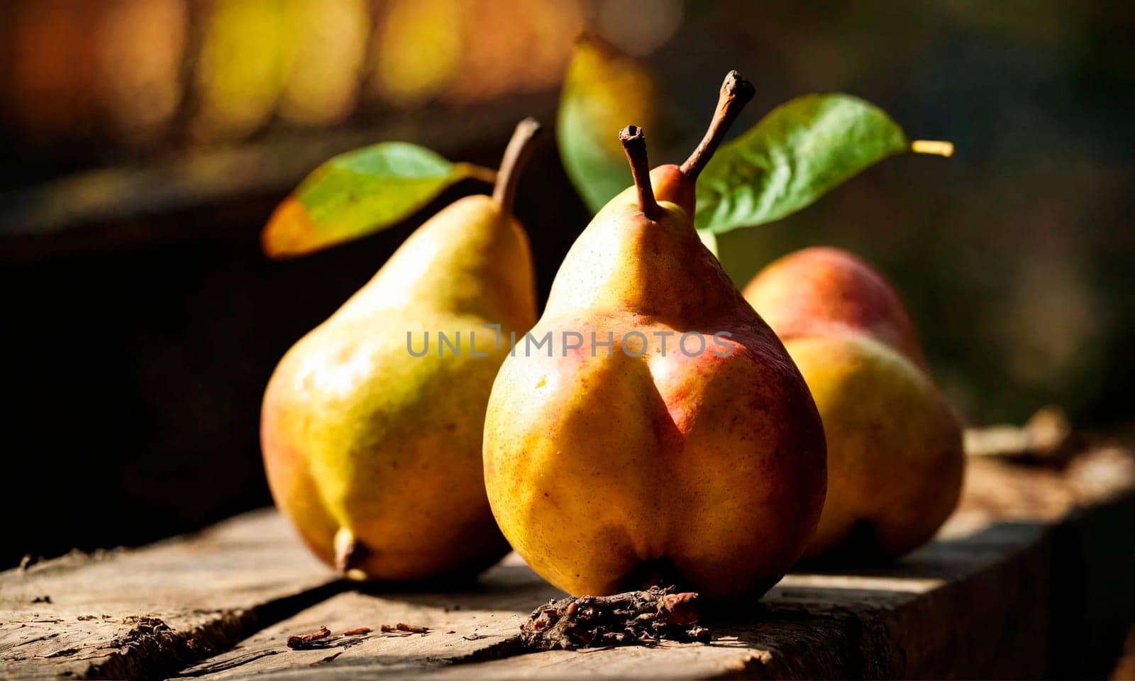 pear harvest close-up on the table. Selective focus. food.