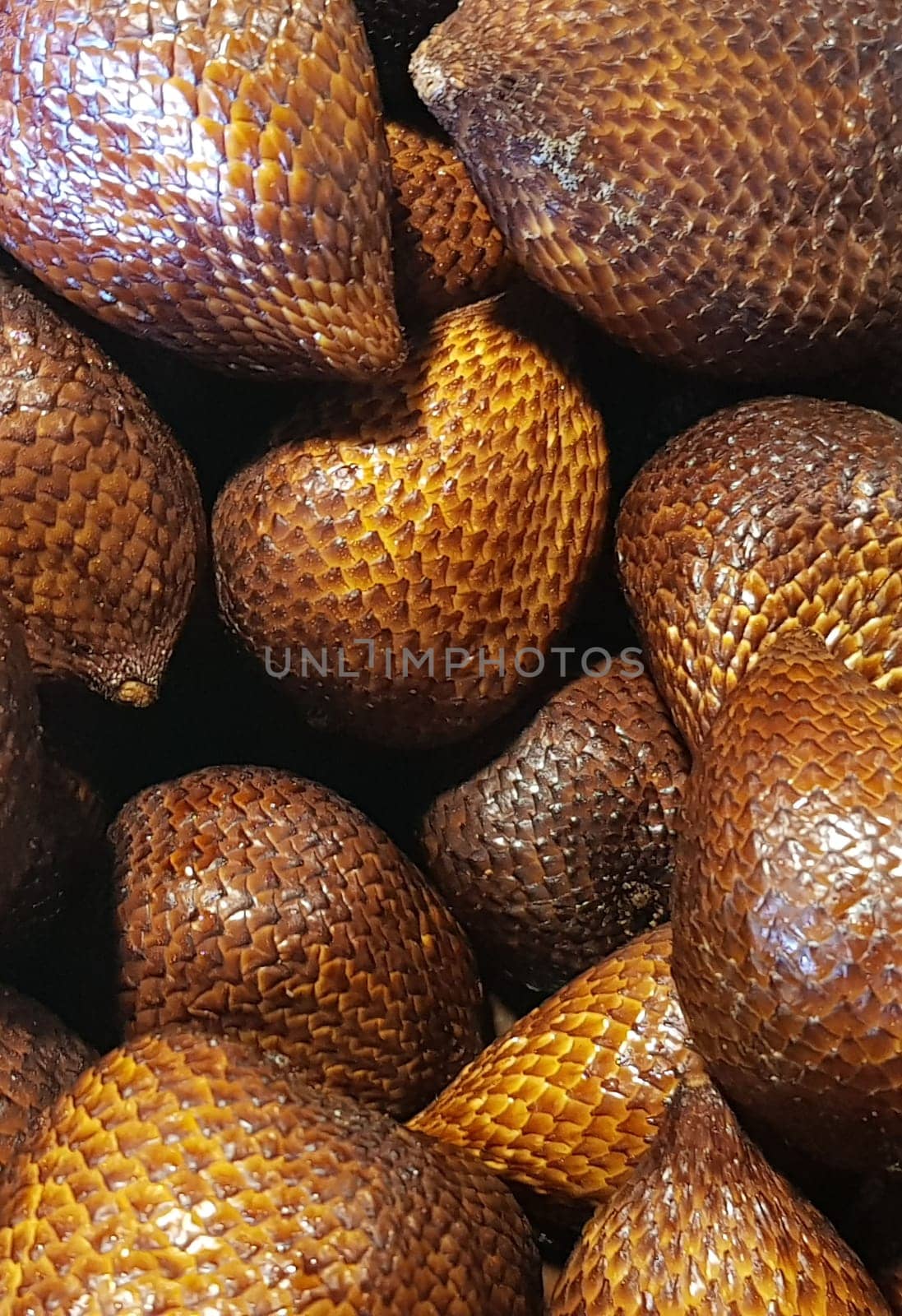 group of snake fruit or called salak in local indonesian language is a type of palm fruit commonly eaten also known as sala, the scientific name is Salacca zalacca.