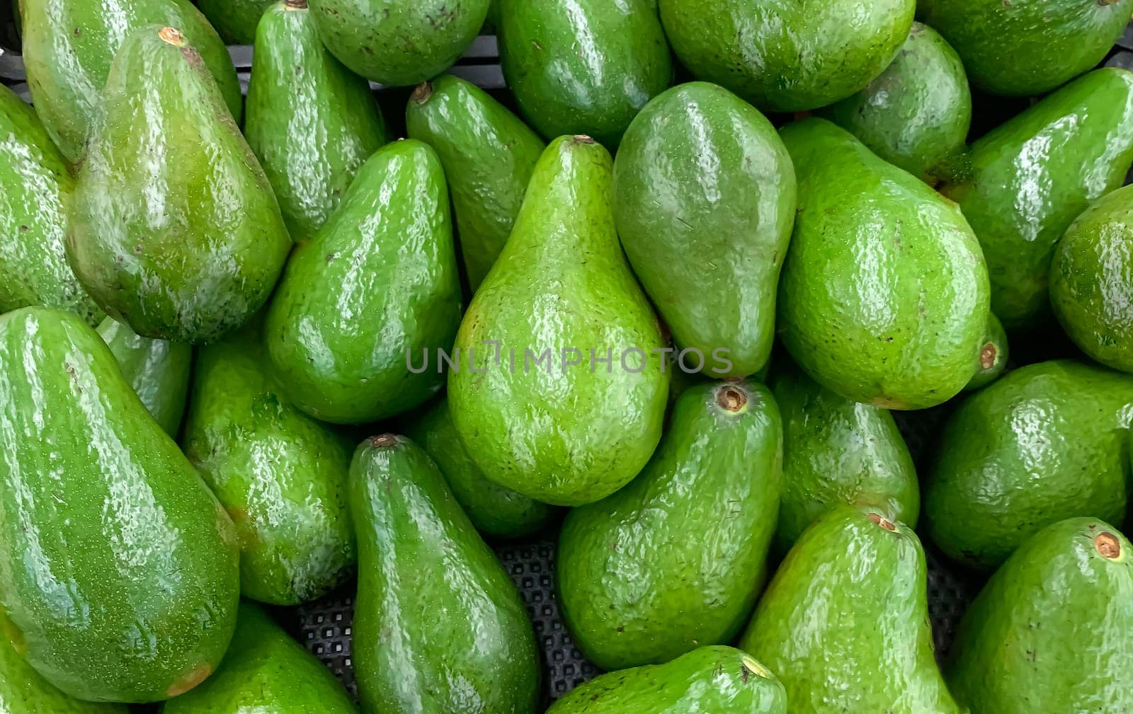 fresh produce of green avocados at the local market, healthy fresh fruit for salad or juice or guacamole