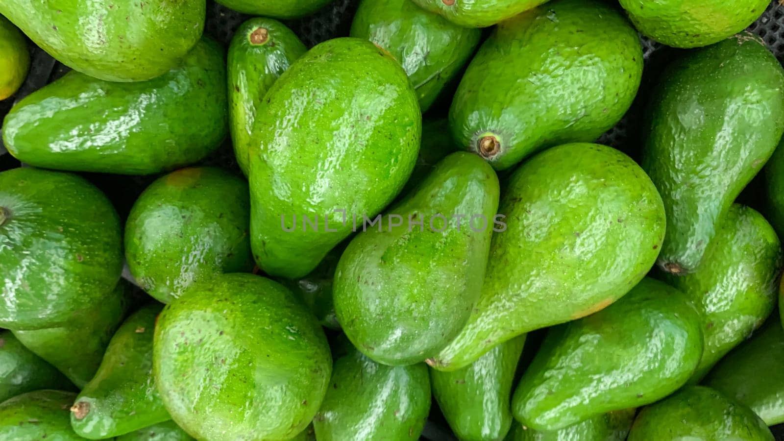 fresh produce of green avocados at the local market, healthy fresh fruit for salad or juice or guacamole