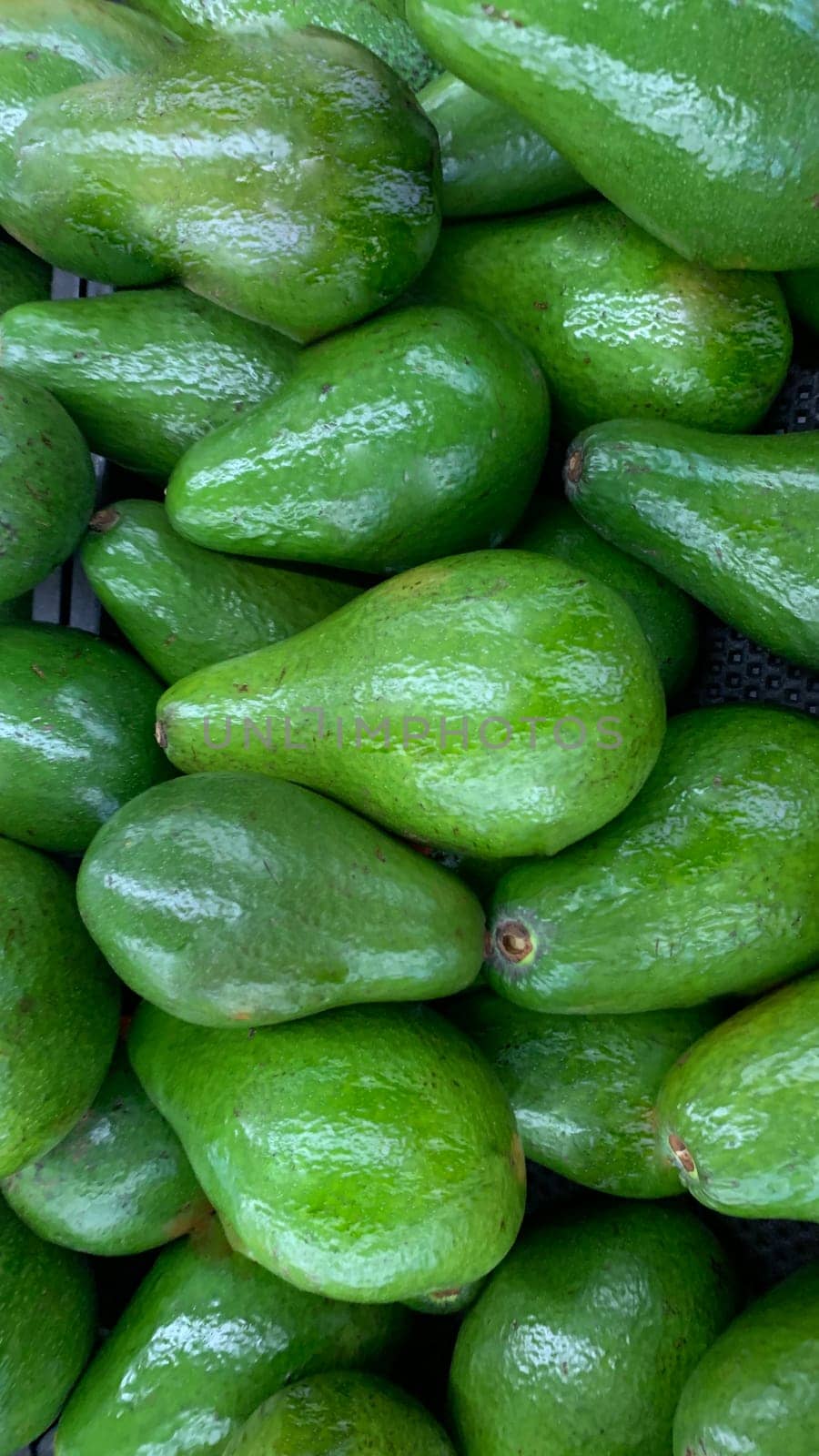 fresh produce of green avocados at the local market, healthy fresh fruit for salad or juice or guacamole
