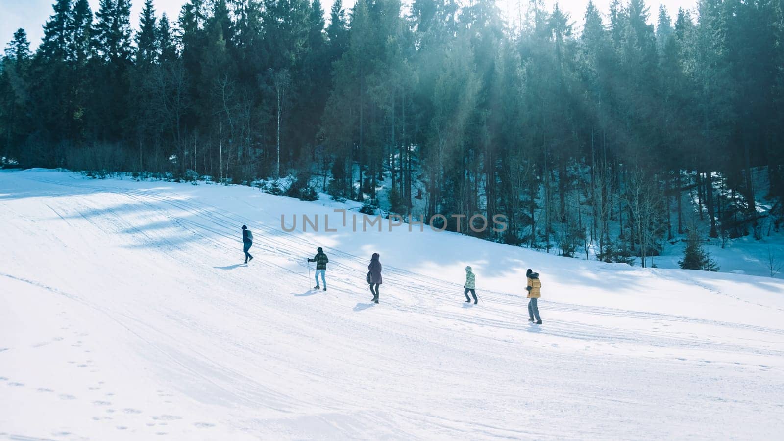 Group walking up a mountain in winter, with scenic snow covered trees on the background download by igor010