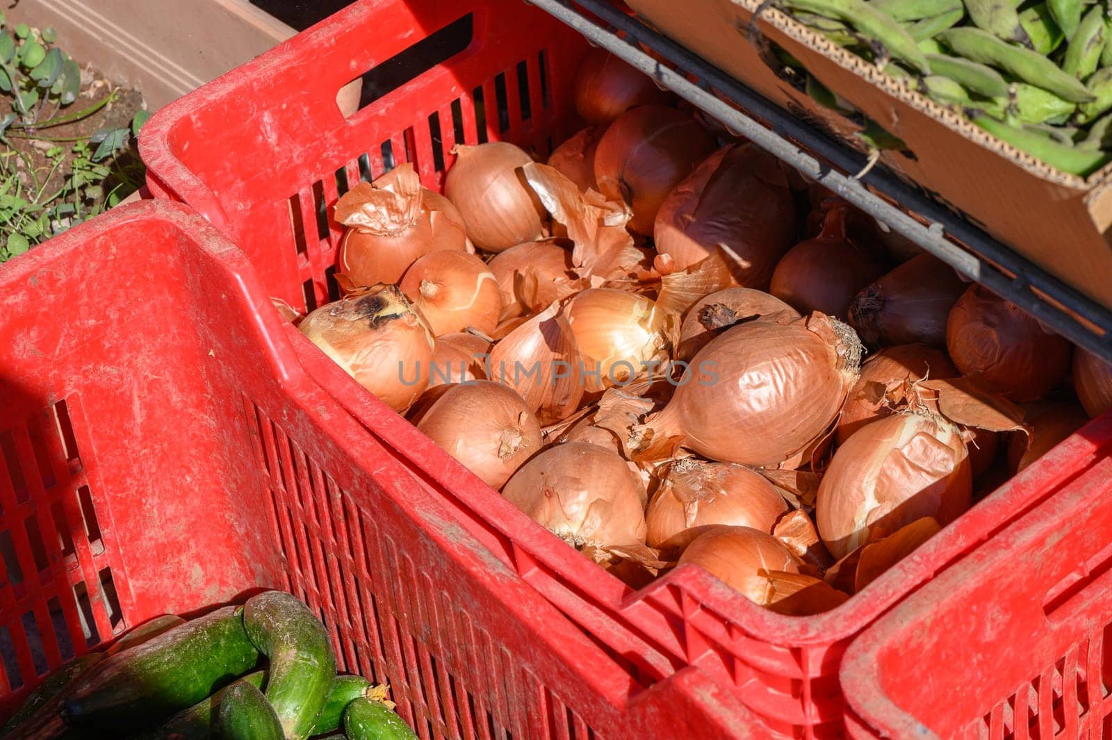 onions in a box near a store in Cyprus