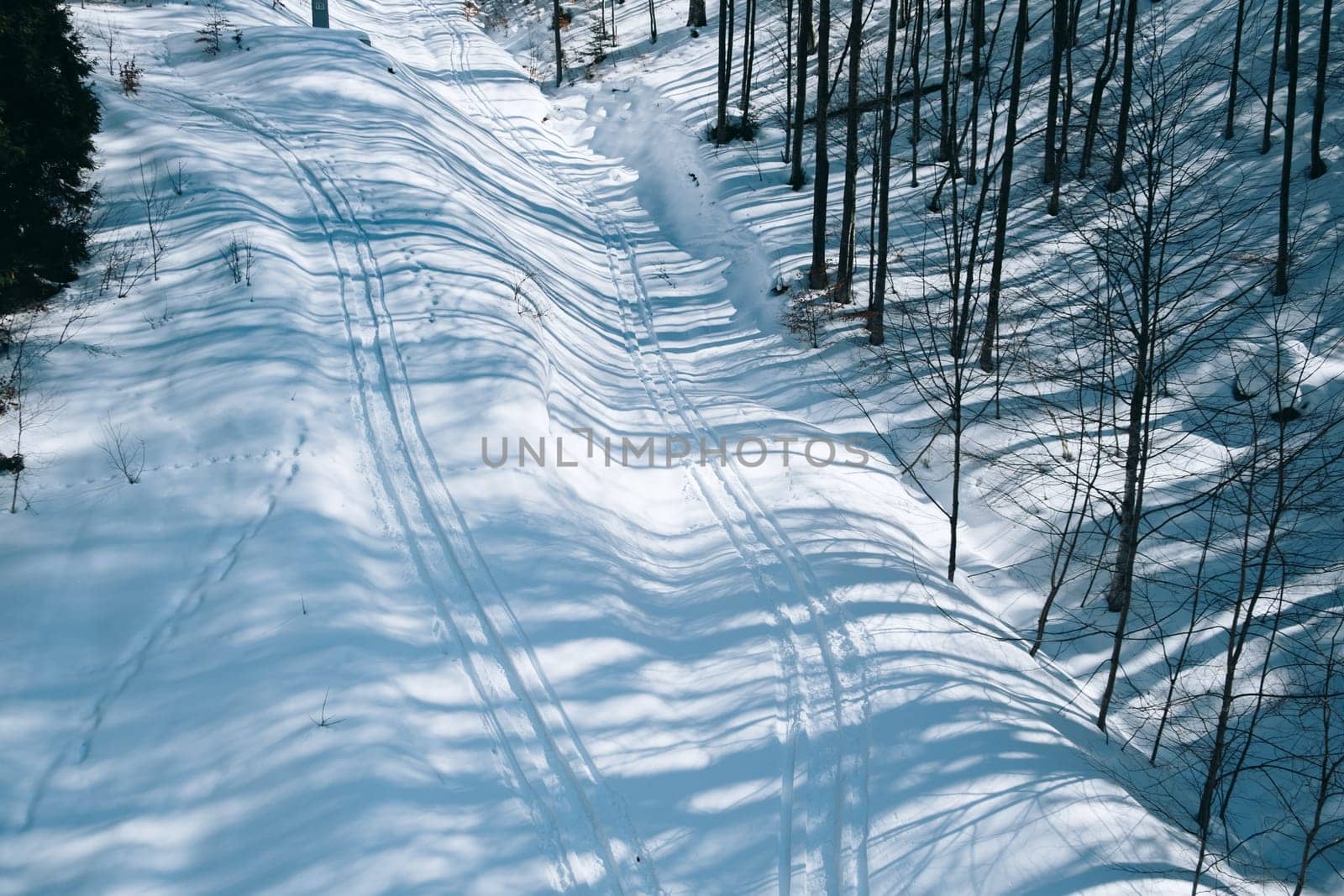 Snowy road in winter forest on sunset background. Awesome winter landscape. A snow-covered path among the trees in the wildlife. Forest in the snow. download