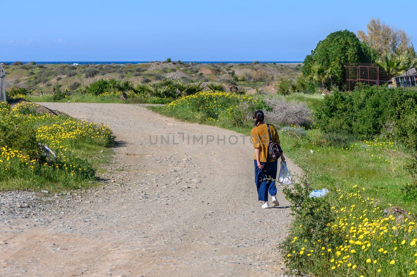 woman with a package walks through the village 3