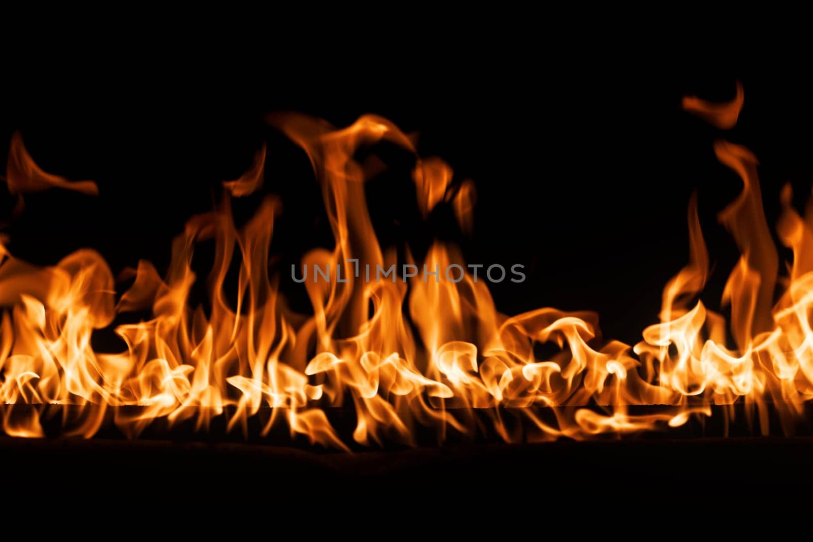 firestorm. Fire burning. Bright burning flames on a black background. Wall of Real fire, abstract background. Fire flames, isolated on dark background by EvgeniyQW