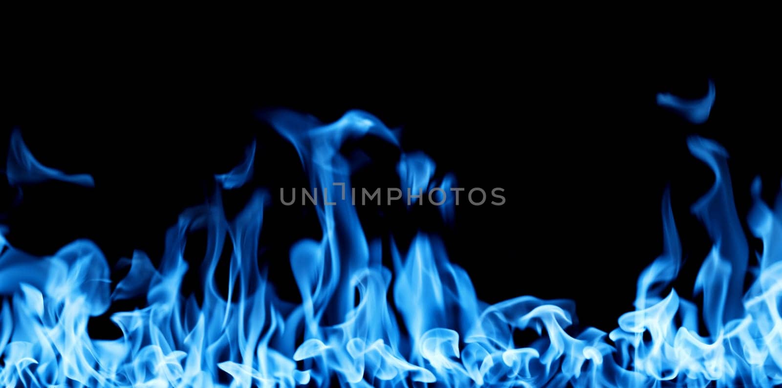 Blue firestorm. Gas Fire burning. Bright burning blue flames on a black background. Wall of Real fire, abstract background. Fire flames, isolated on dark background.