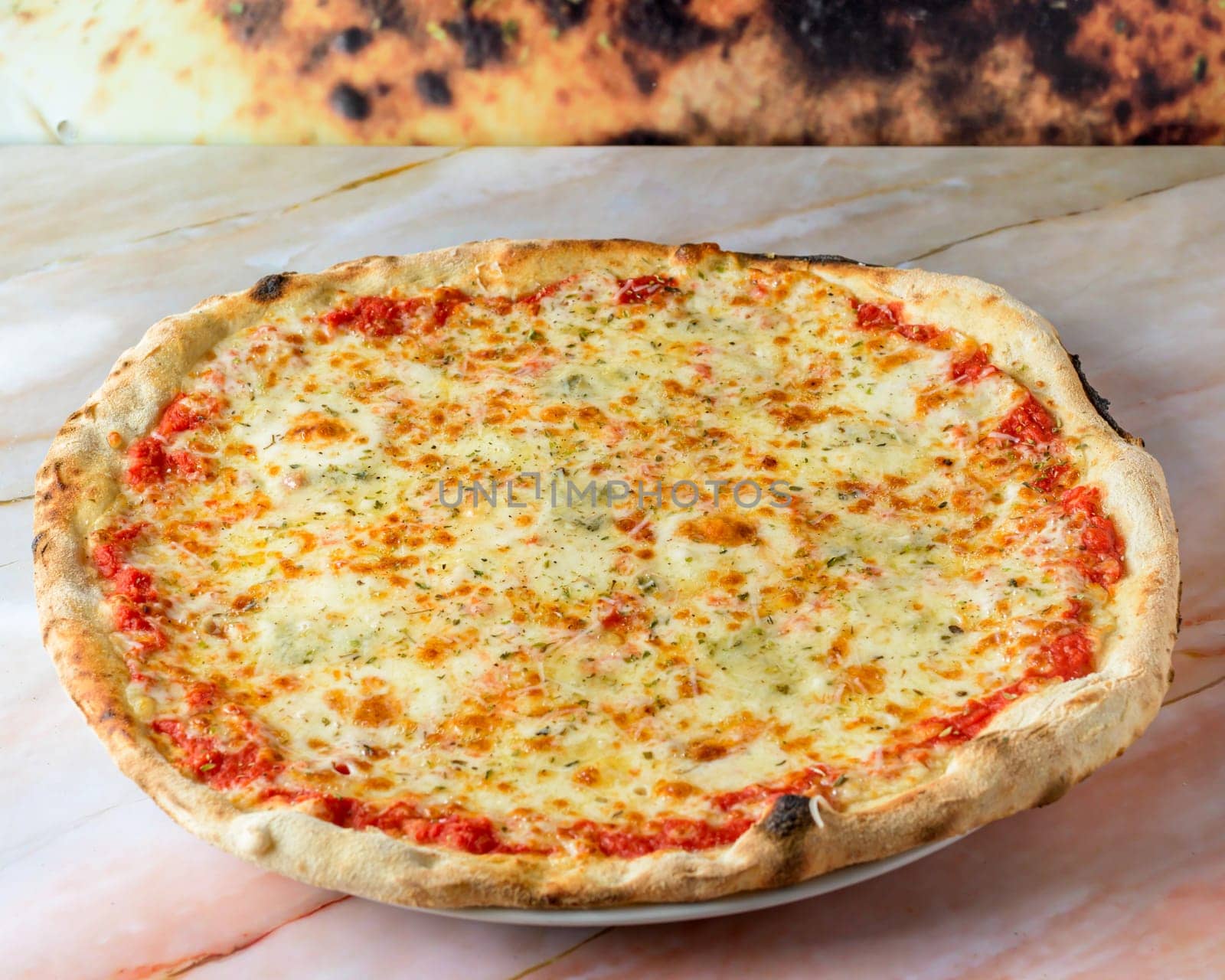 Family Pizza Cooked with Four Cheese Recipe, Oregano and Basile Baked and Ready to Eat,