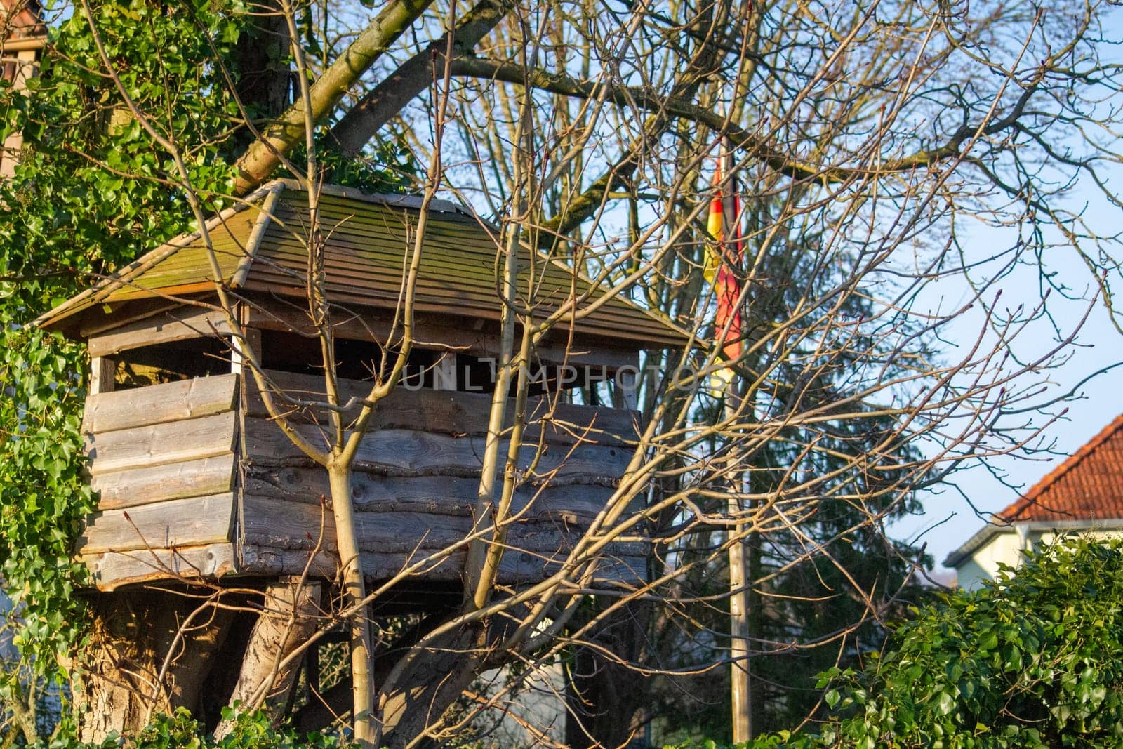 tree house in the mountains, a children's treehouse. High quality photo