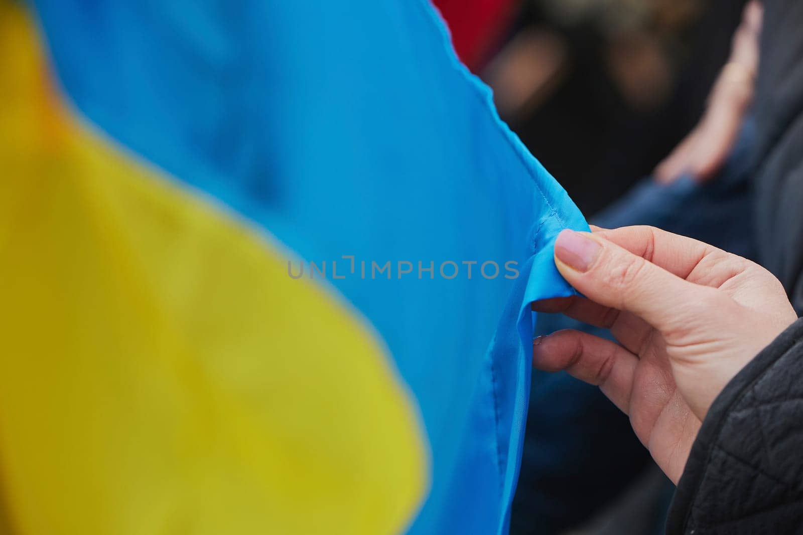 Woman holding flag on action in support of Ukraine in Denmark by Viktor_Osypenko