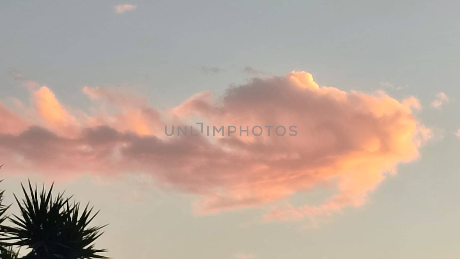 Sunset evening sky. High quality photo