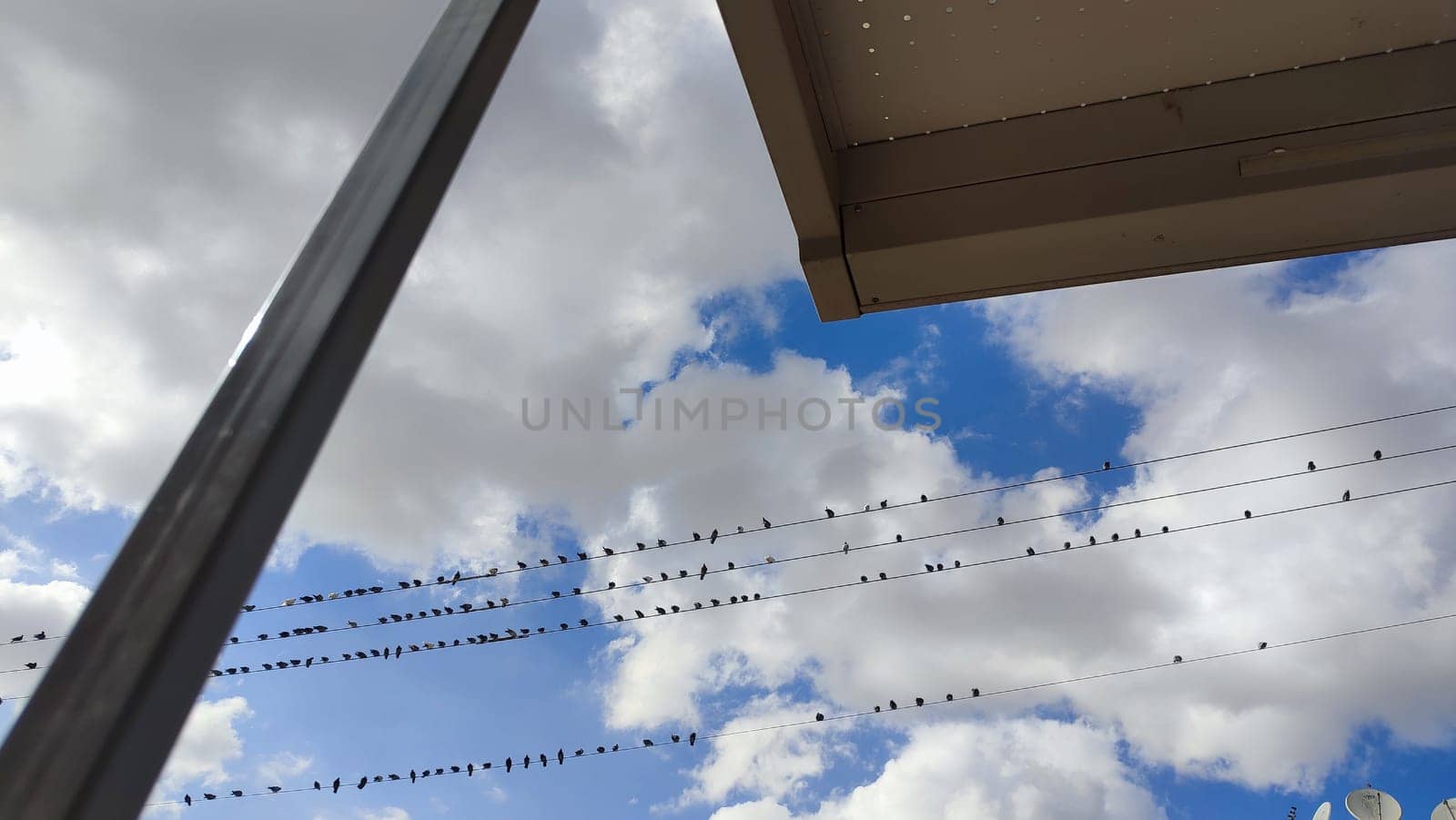 Blue light sky nature white clouds whether background . High quality photo