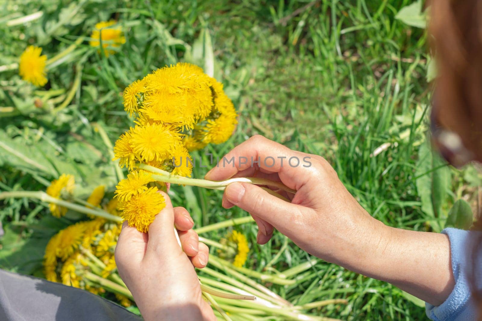 Woman weaves a wreath of dandelions Nature by Godi