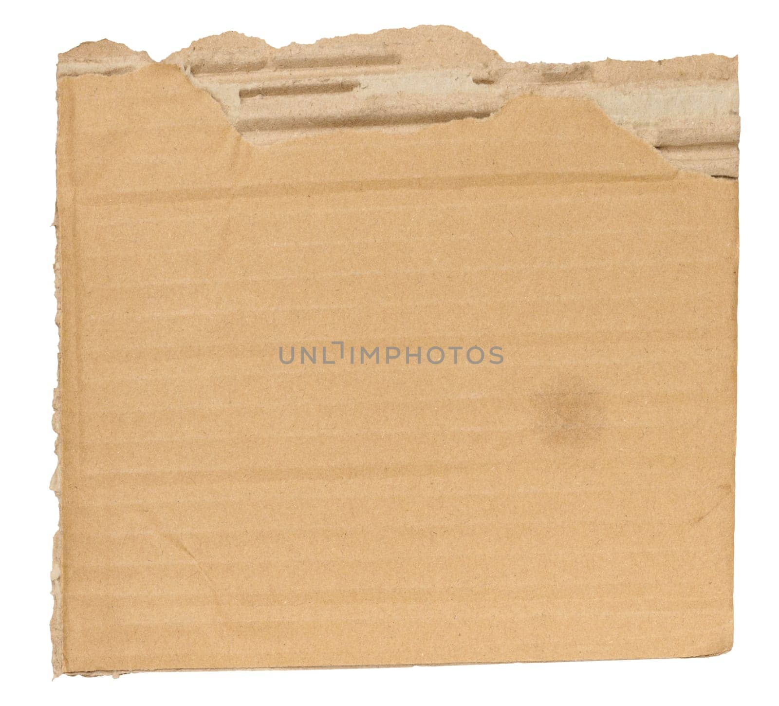 Piece of brown cardboard with torn edges on isolated background by ndanko