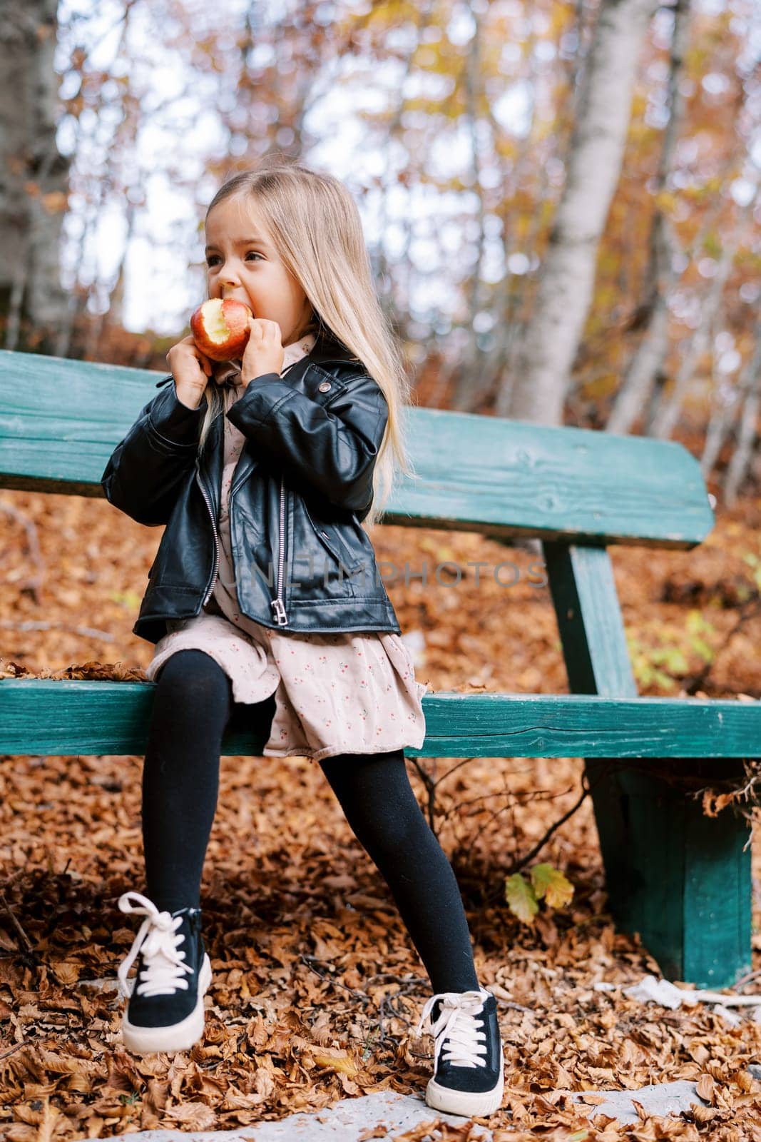 Little girl gnaws an apple while sitting sideways on a wooden bench in the autumn forest. High quality photo