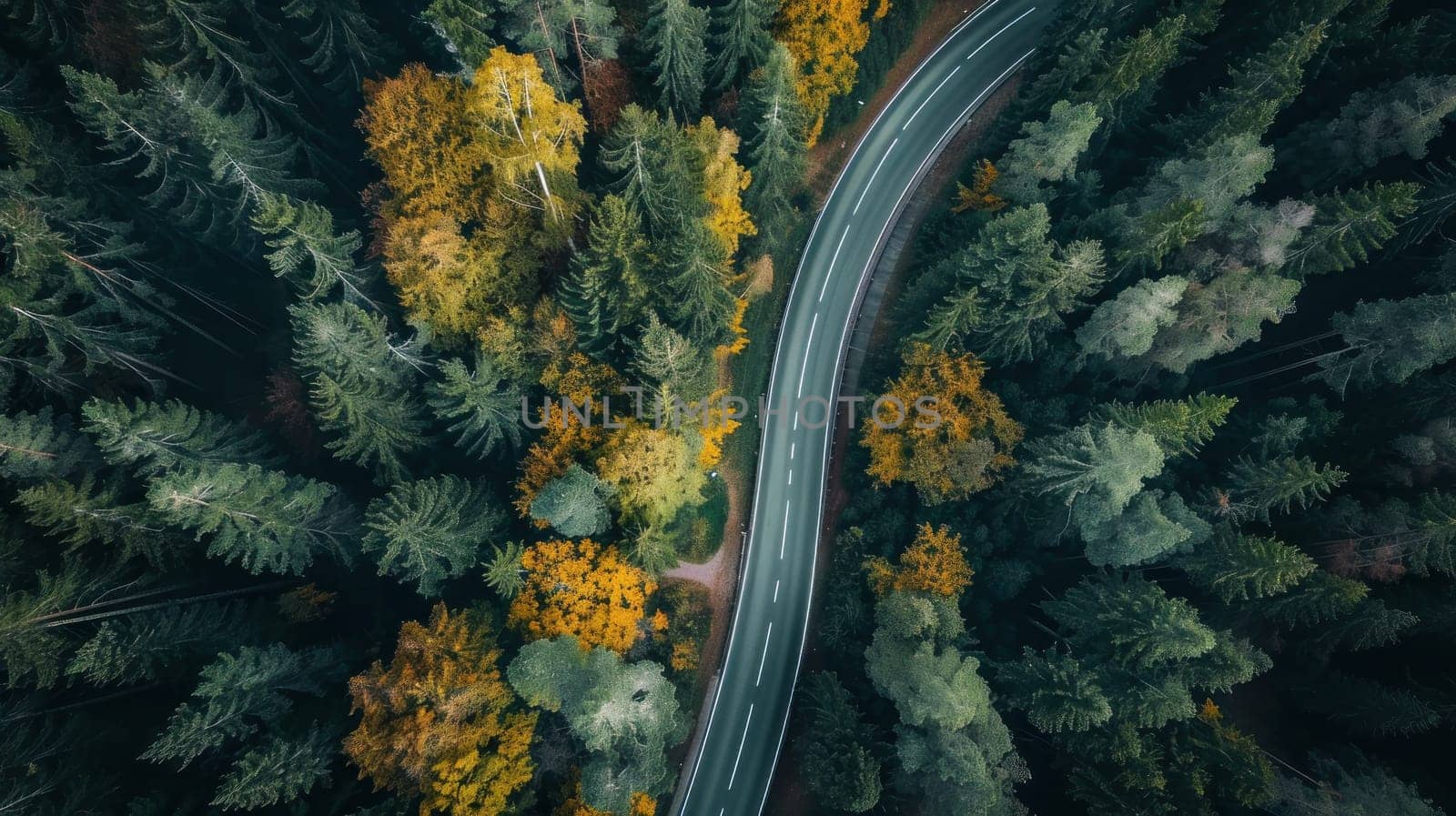 high way to forest. Generative AI.