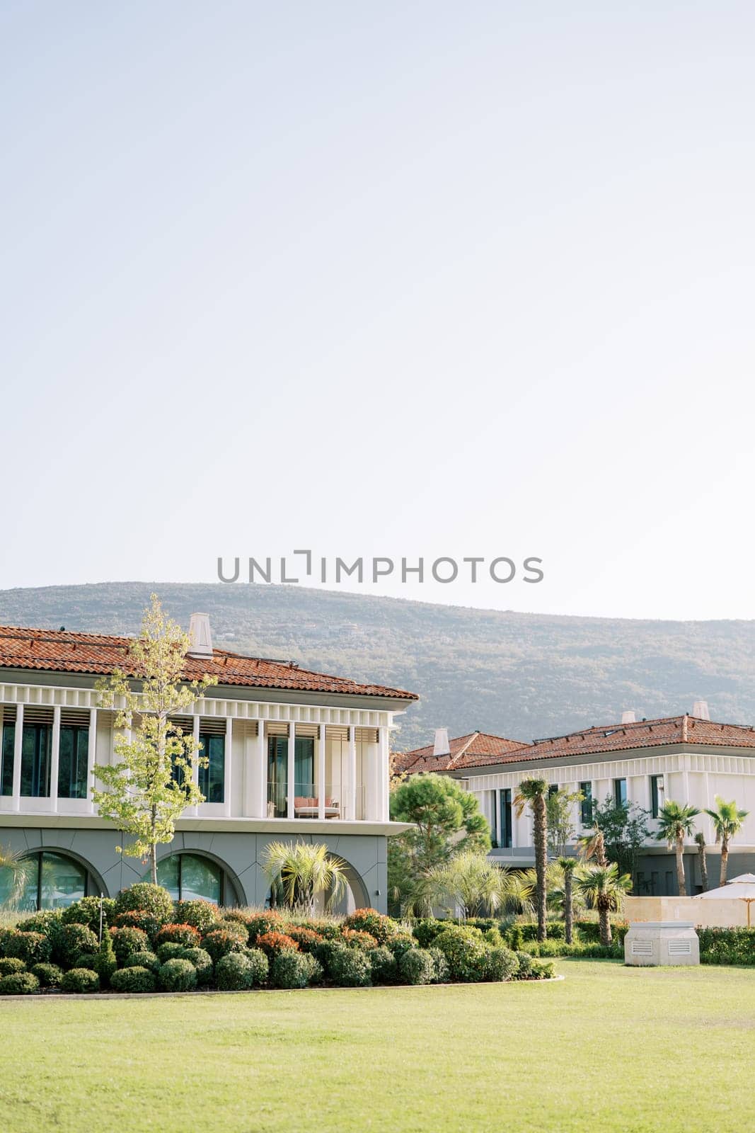 Green garden with flowering bushes near the villas of the One and Only hotel. Portonovi, Montenegro. High quality photo