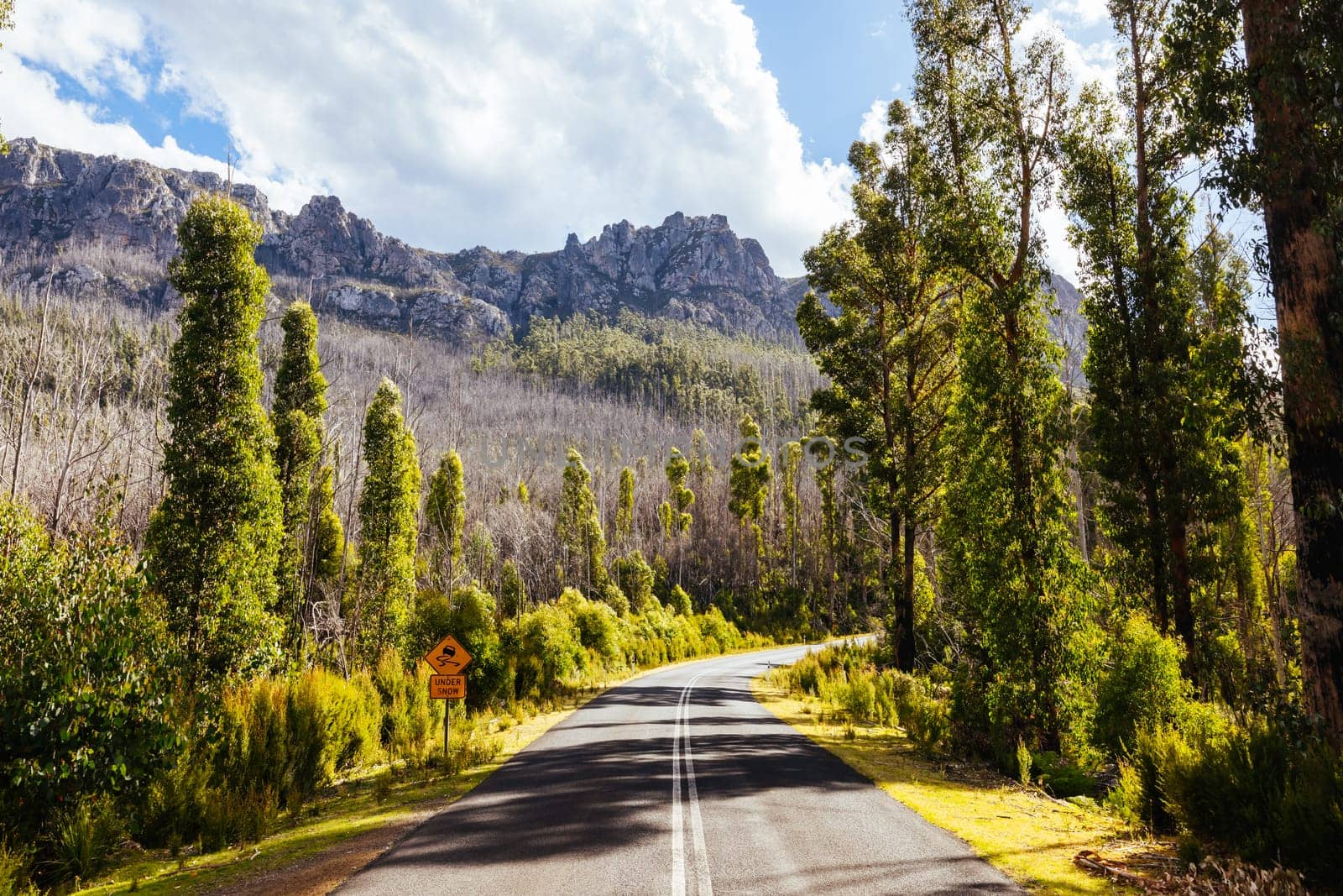 Gordon River Road Landscape in Tasmania Australia by FiledIMAGE