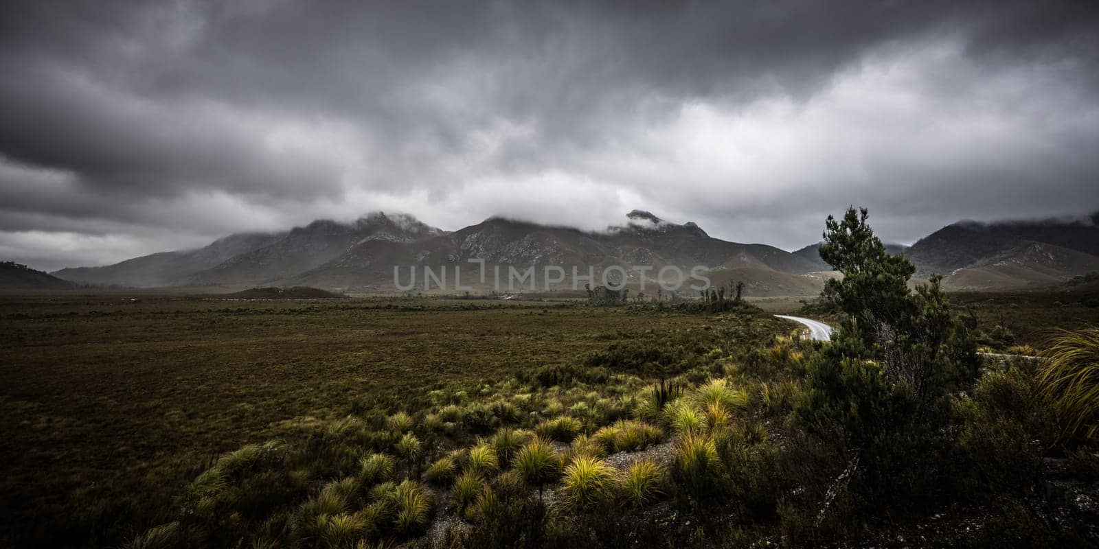 Gordon River Road Landscape in Tasmania Australia by FiledIMAGE