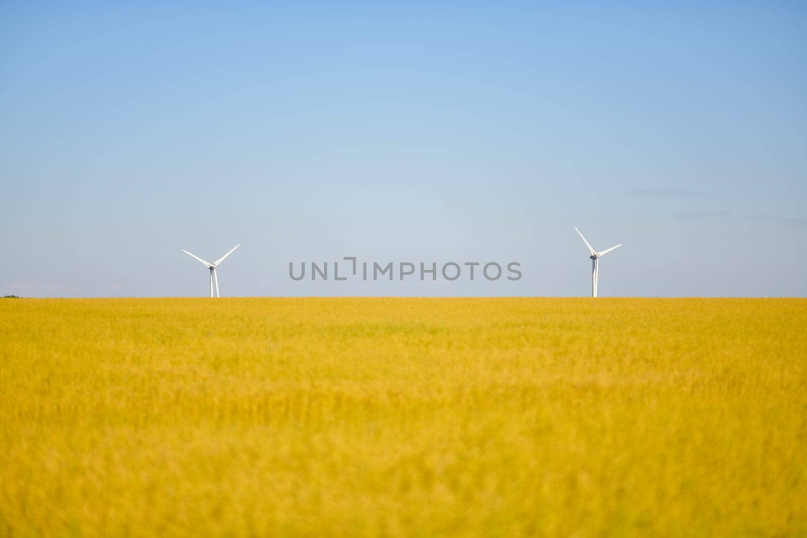 Windmills near the field of flax Normandy France by Godi
