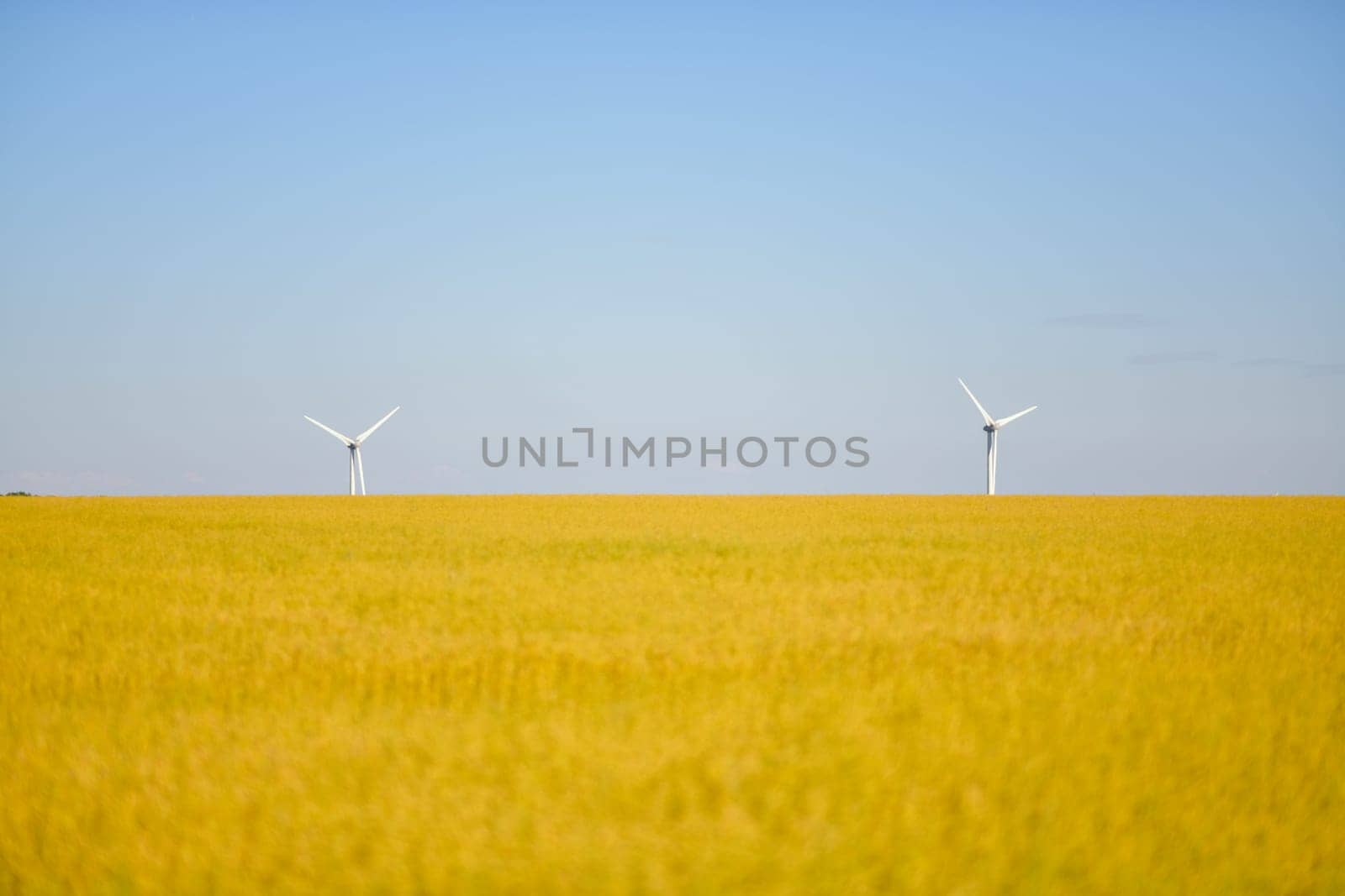Windmills near the field of flax Normandy, France