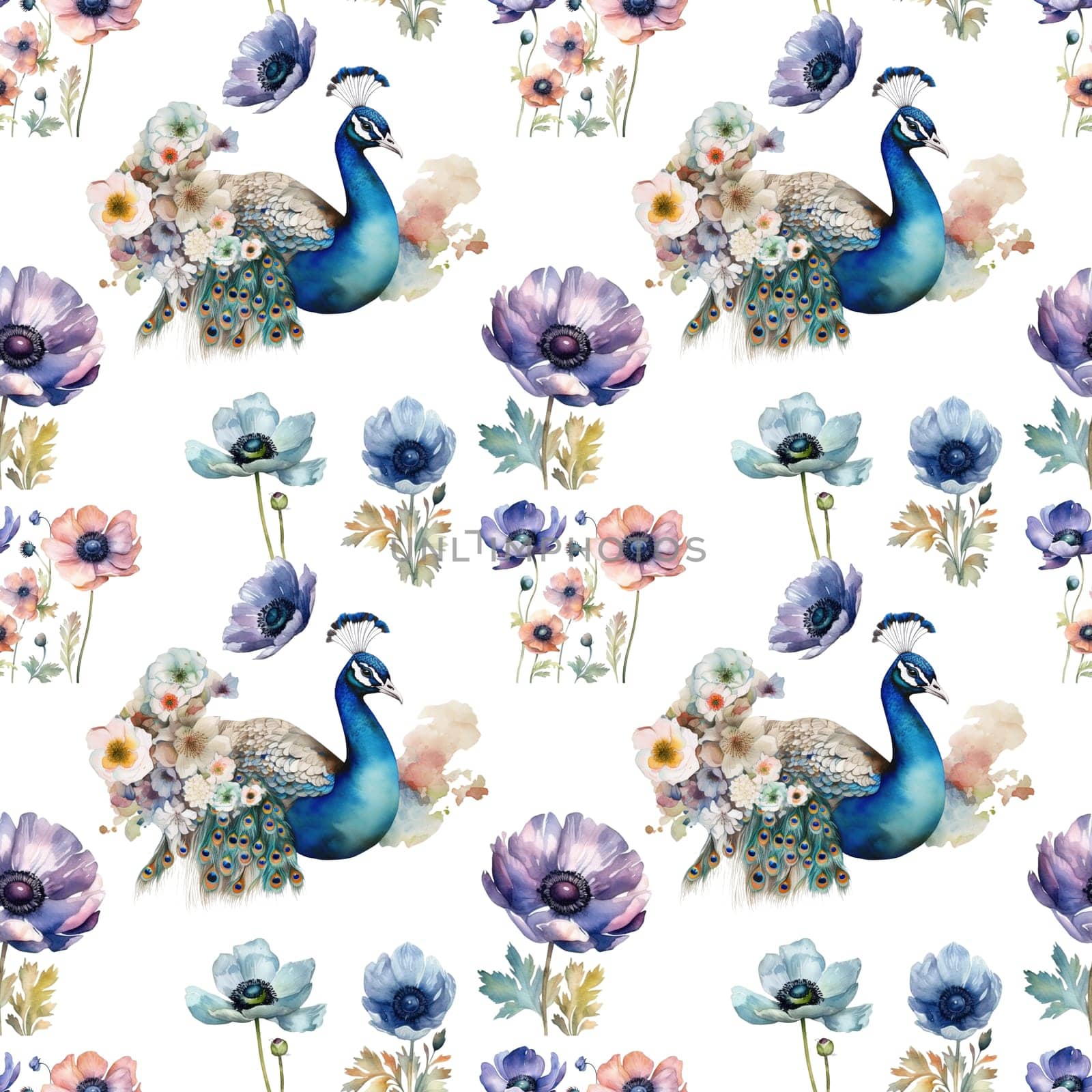 Watercolor illustration of peacock and flower patterns on white background , generative AI