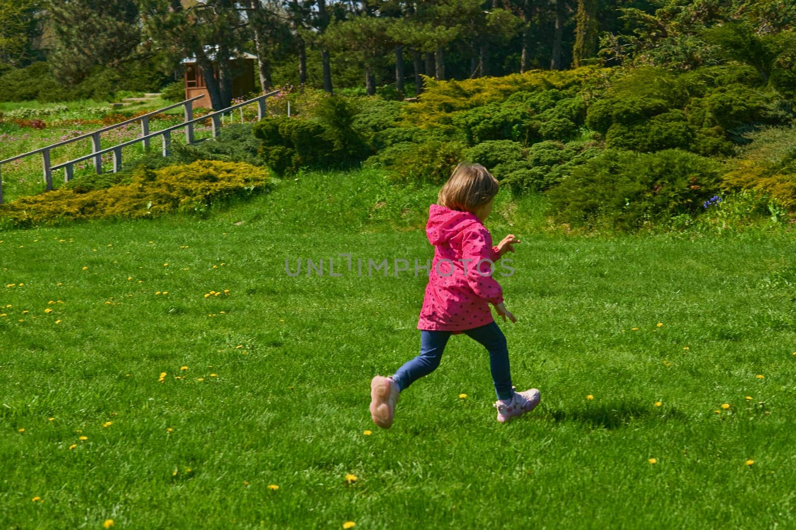 Adorable child in a red jacket runs through a green meadow by jovani68