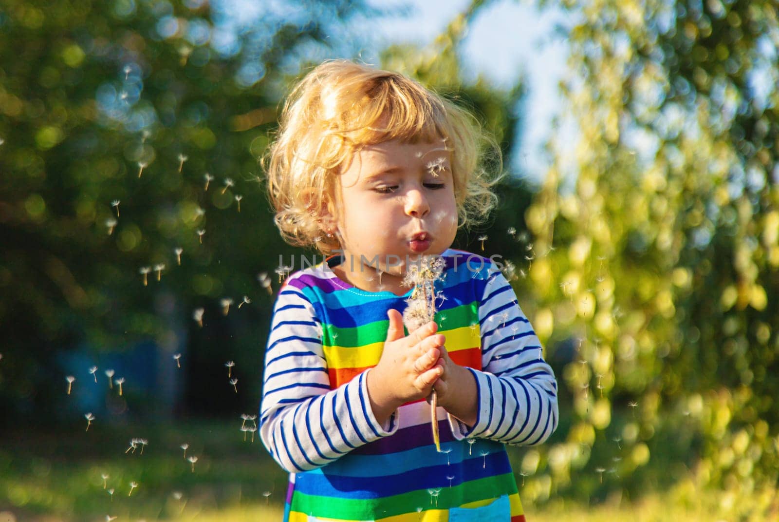 A child blows a dandelion. Selective focus. by yanadjana