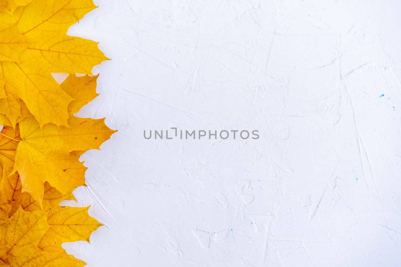 Autumn leaves frame on white background top view Fall Border yellow and Orange Leaves vintage structure table Copy space for text. by andreonegin