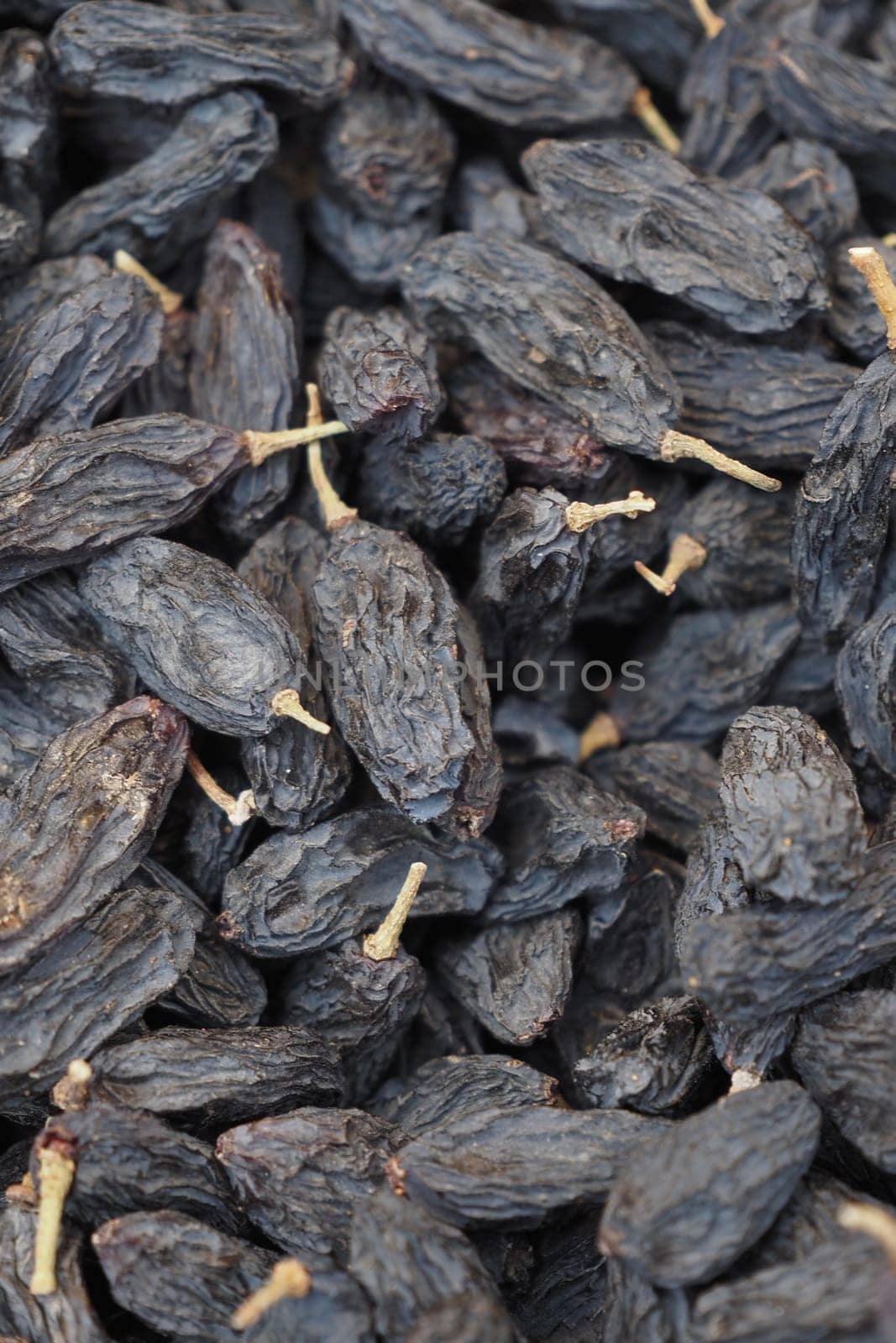 black raisin on white background, close up