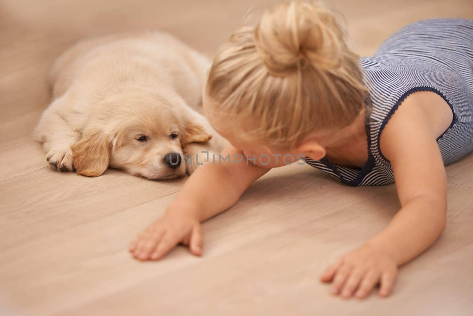 Child, puppy and hug with rest, floor and pet with love at house. Kid, dog and golden retriever or sleepy labrador with sleeping, bonding and sharing together with tired look and animals or pets by YuriArcurs