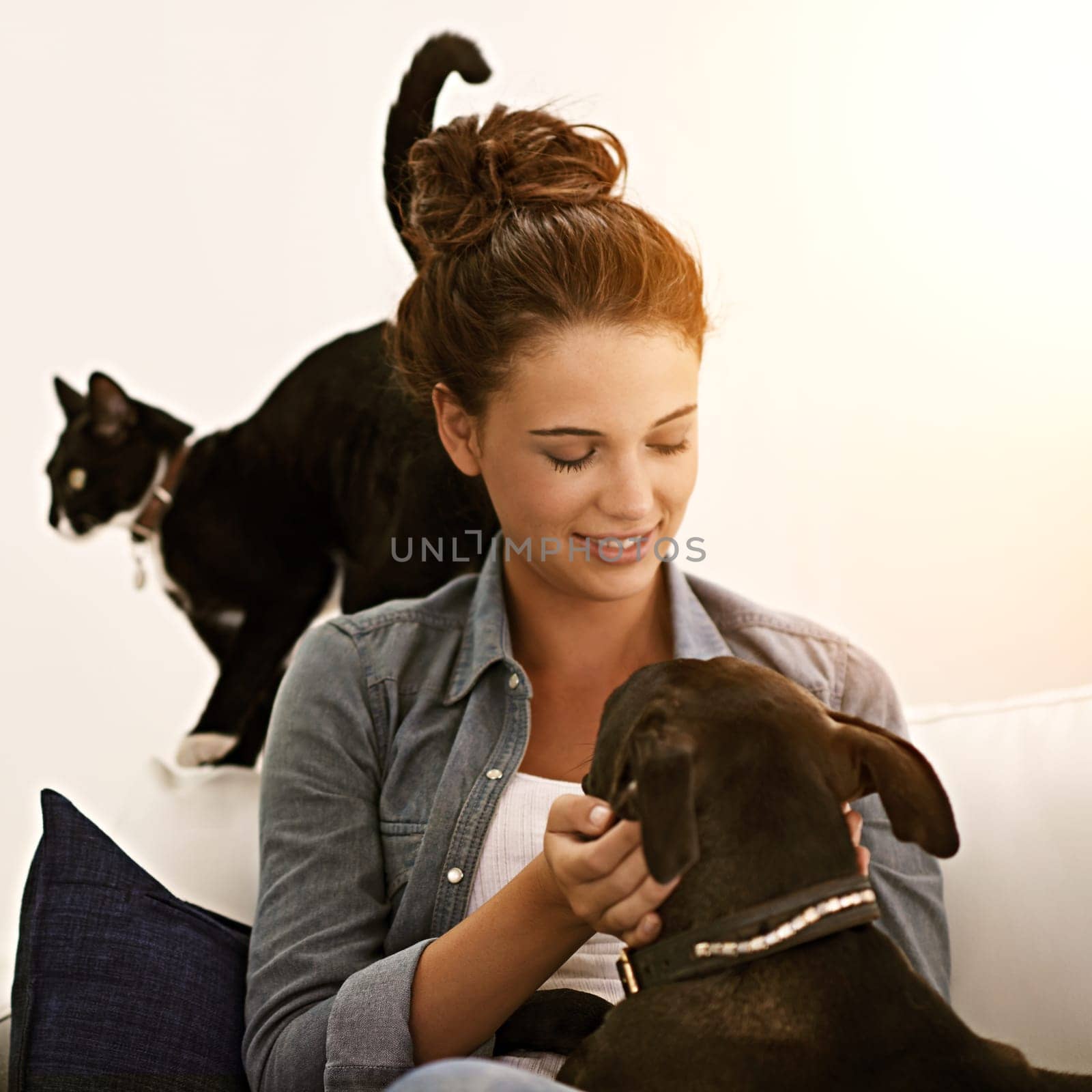 Woman, dog and cat on sofa for animal, pet and together indoor for bonding, affection and friendship. Puppy, lady or owner for laugh and hug with love and scratch for adorable, cute and companion by YuriArcurs